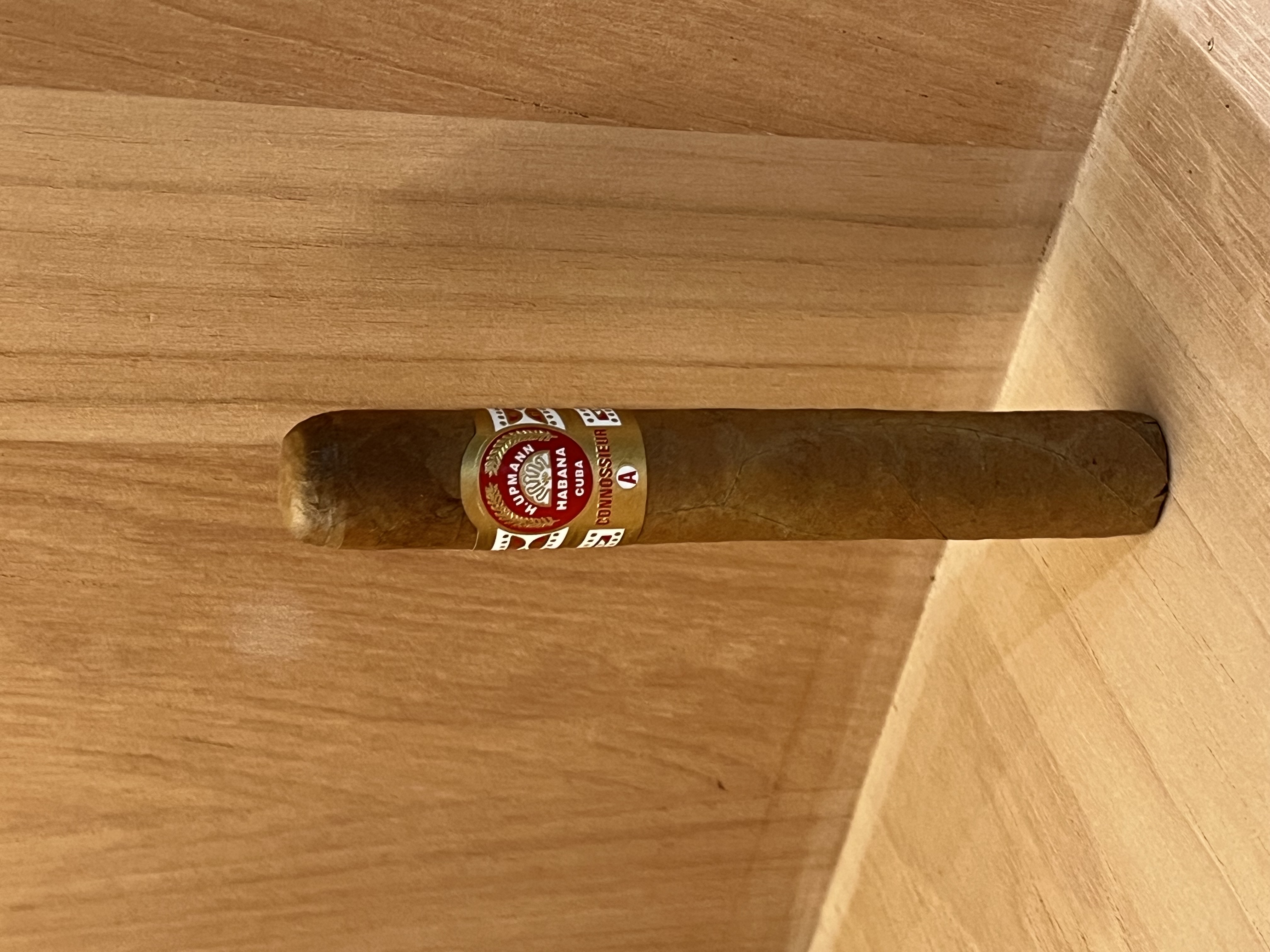 H.Upmann Magnum烏普曼鑑賞家A （單支） 