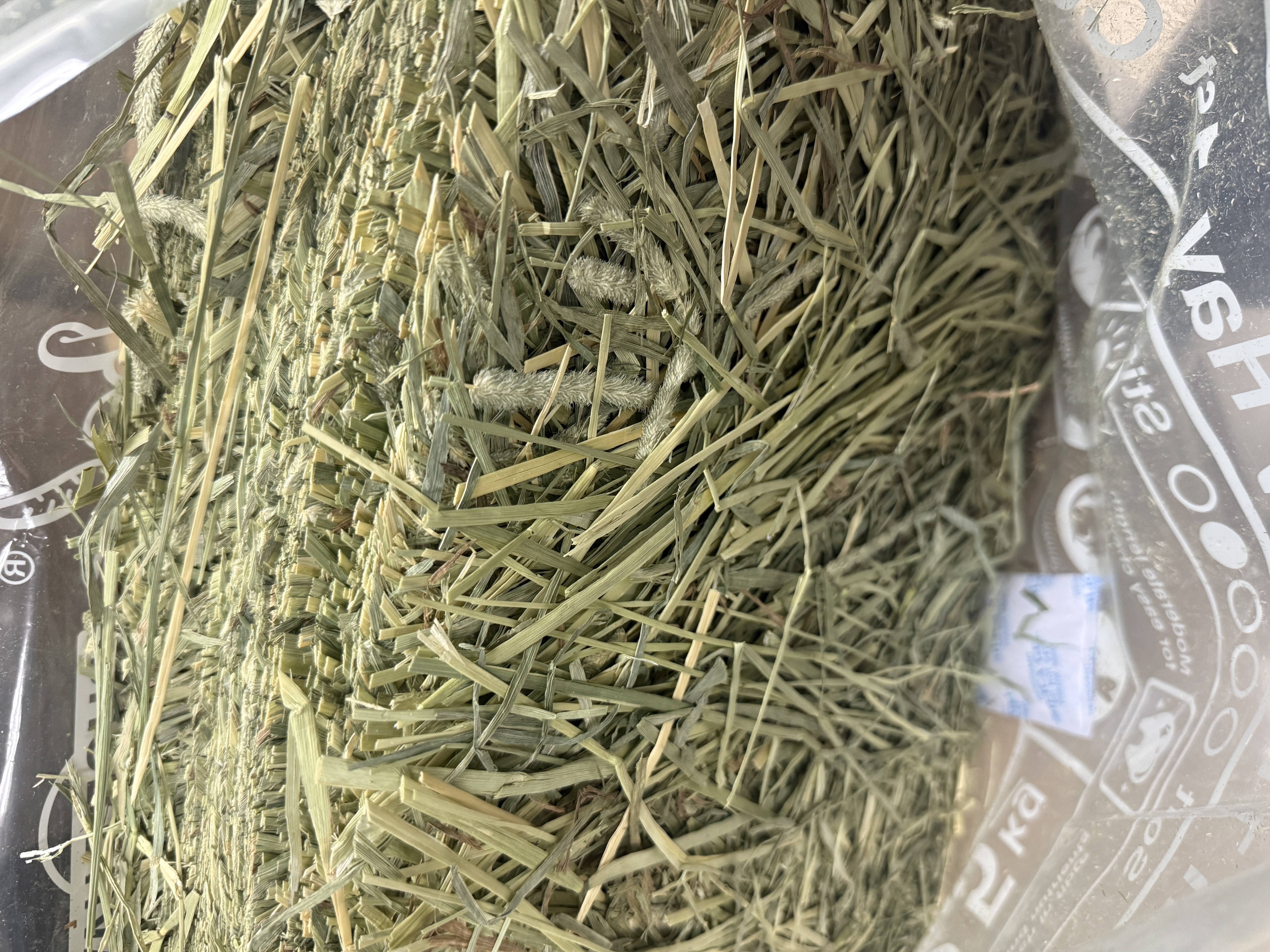 Chewbo 美國一割提摩西草2.5kg(短切)