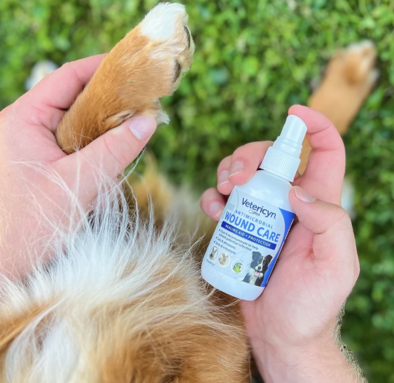 Vetericyn Plus 維特寵物神仙水