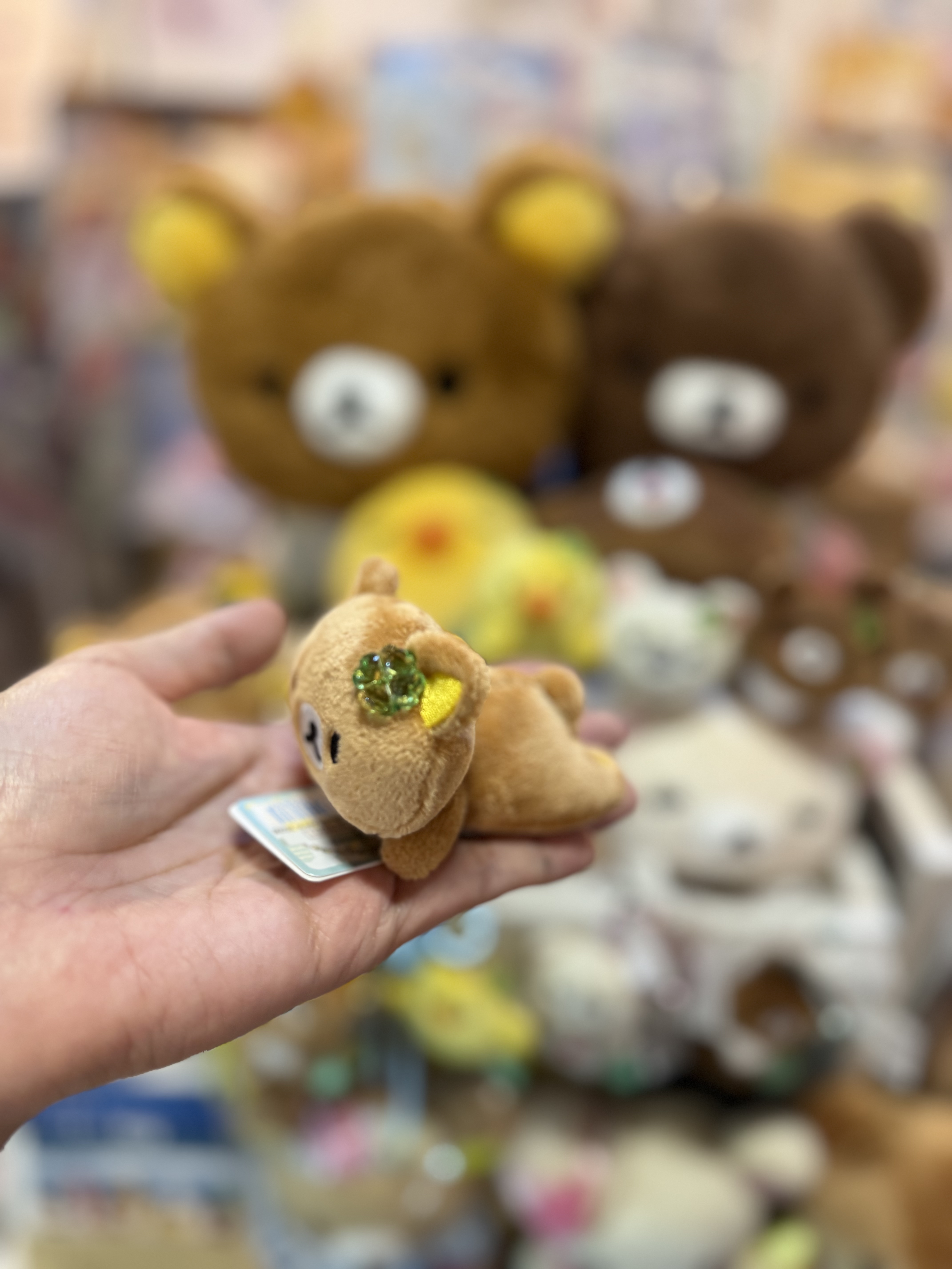 《現貨》全新小熊10週年紀念四葉草系列趴地手玉公仔