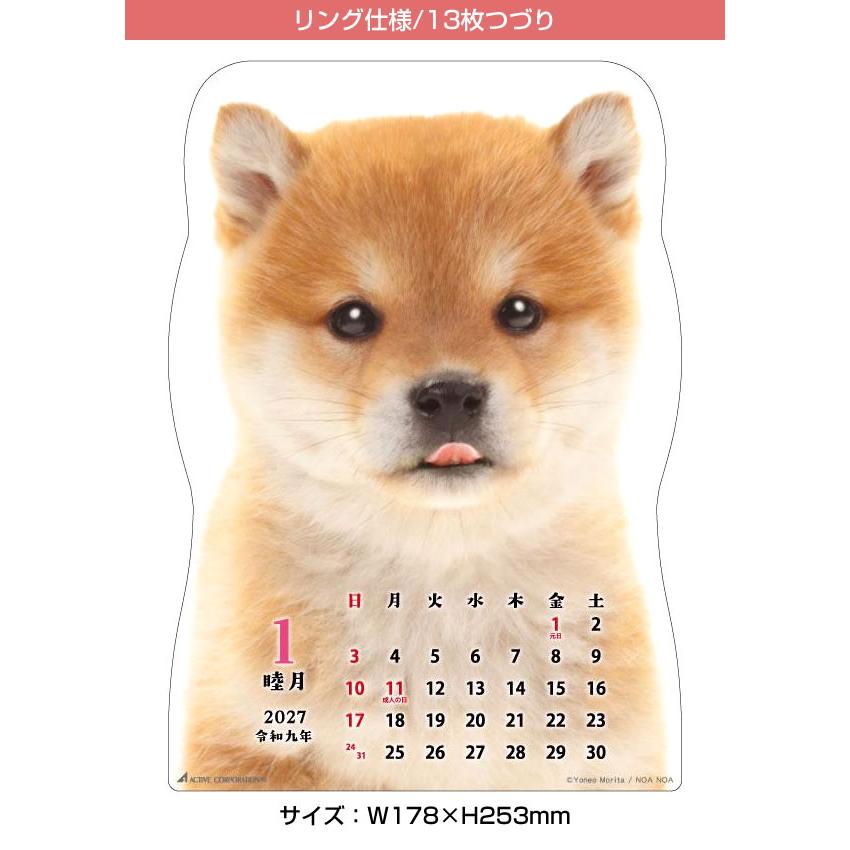 日本製 2027年掛曆 柴犬 (日版)
