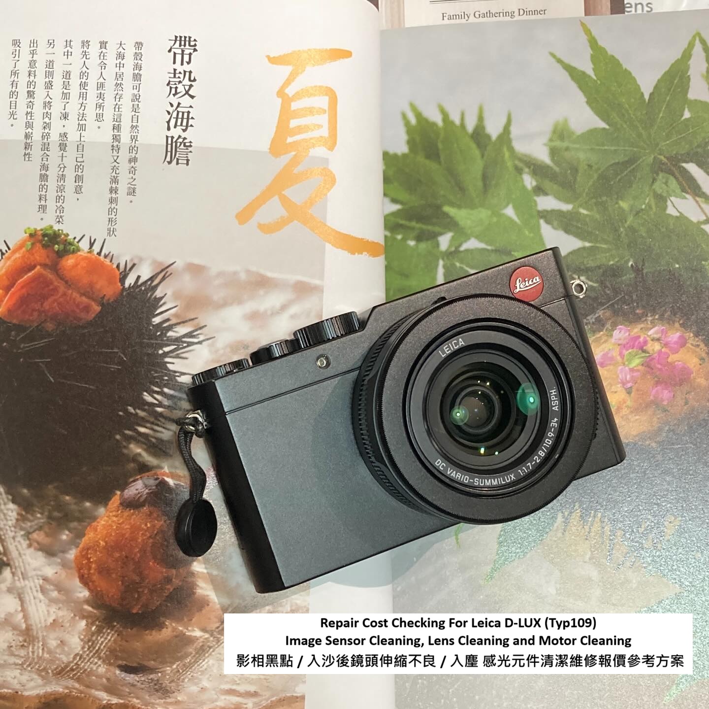 Repair Cost Checking For Leica D-LUX (Typ109) Image Sensor Cleaning, Lens Cleaning and Motor Cleaning 影相黑點 / 入沙後鏡頭伸縮不良 / 入麈 感光元件清潔維修報價參考方案