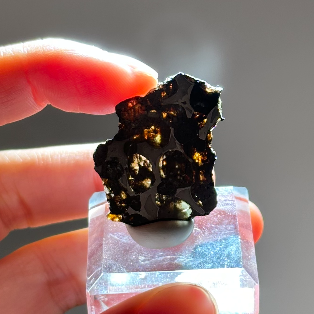橄欖鐵隕石 - Pallasite Meteorite｜PA06