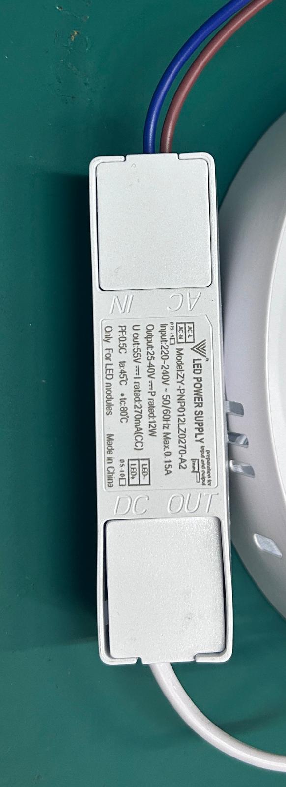 LUZ 012-12W CEILING LIGHT