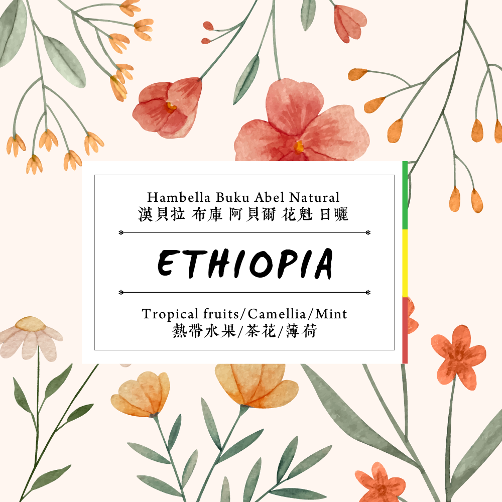 ( 手沖豆 ) Ethiopia - Hambella Buku Abel Natural 