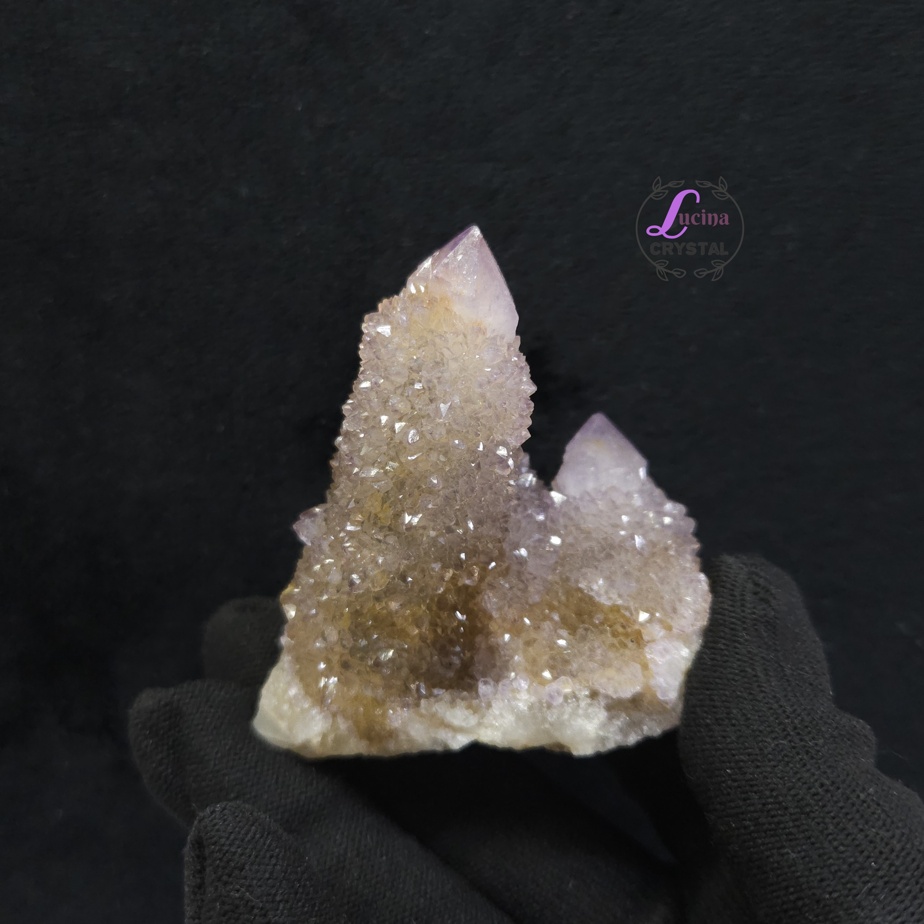 (Co#LC8559) 仙人掌紫水晶/Cactus Amethyst Cluster