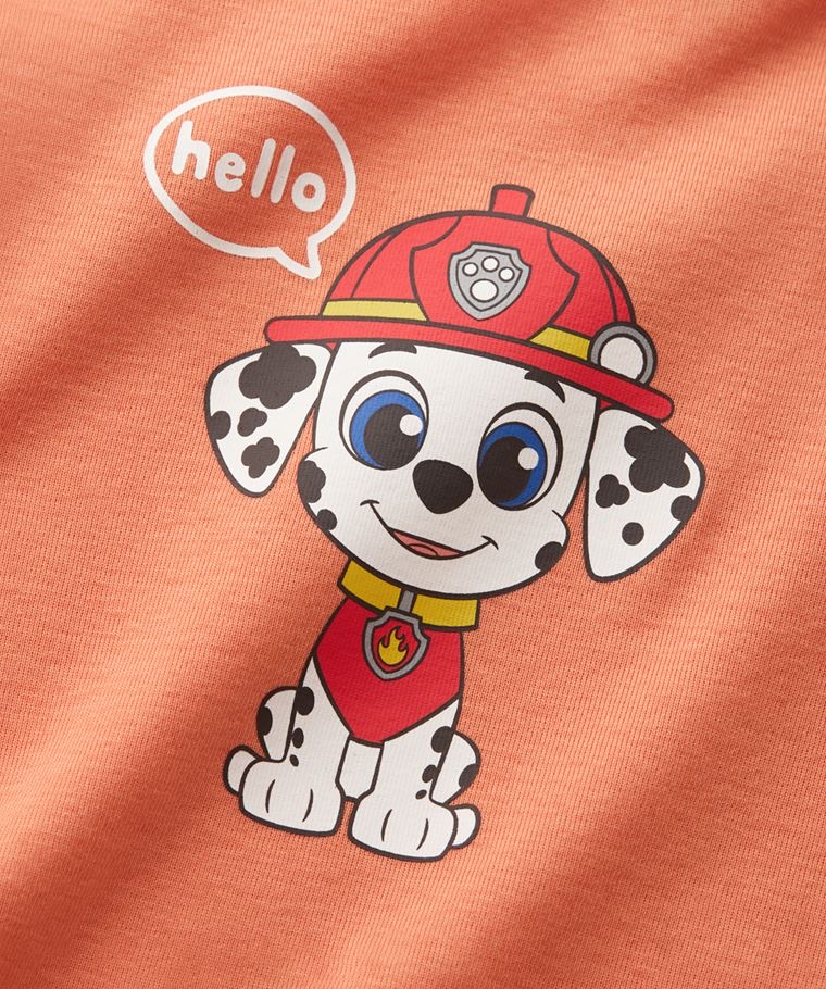 💚預訂 台灣直送💚四色Paw Patrol汪汪隊立大功系列人物印花純棉短袖包屁衣