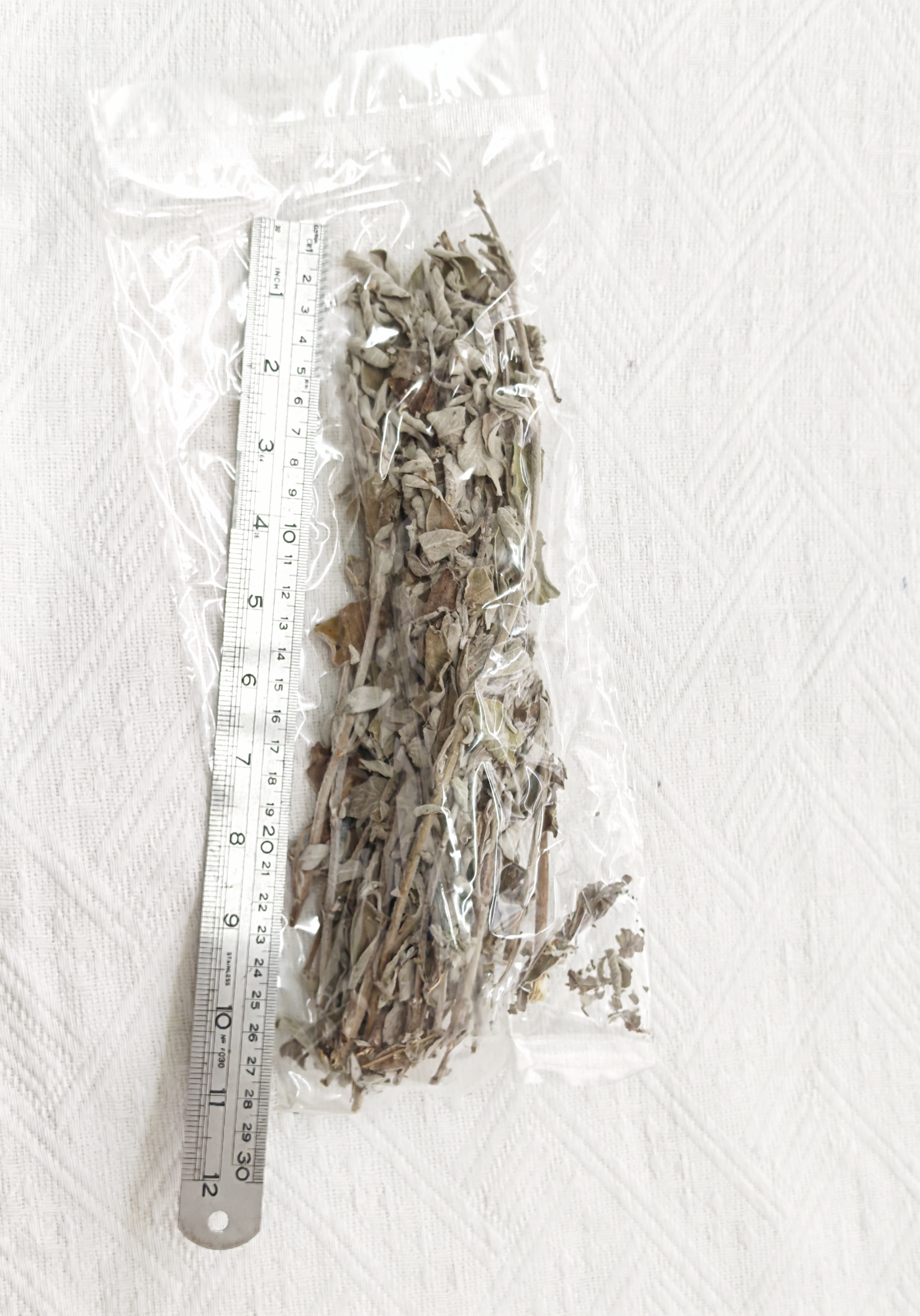 鼠尾草 Sage (捆裝)