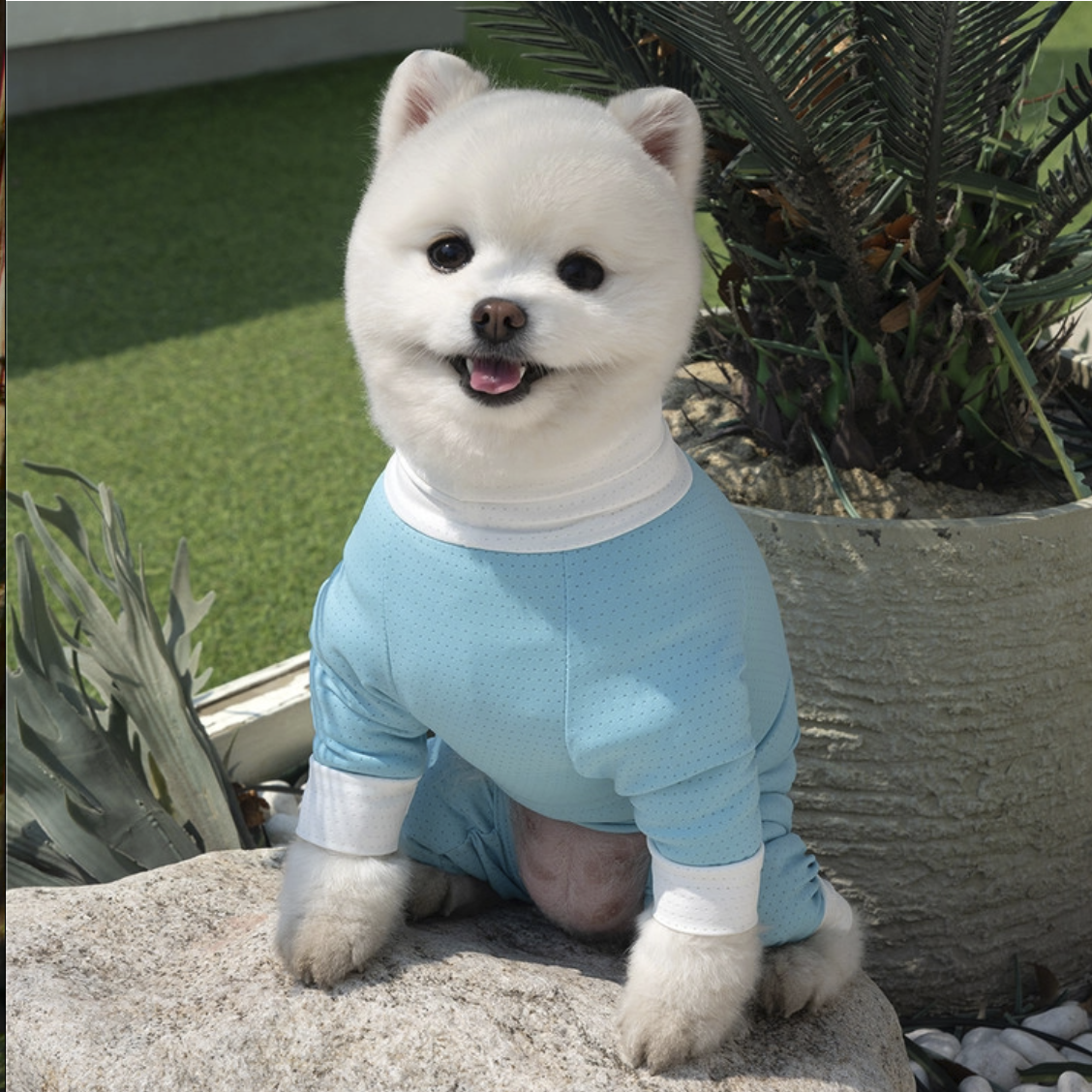 *SuperPet🇰🇷 狗狗全方位防護涼感連身衣(DG414)
