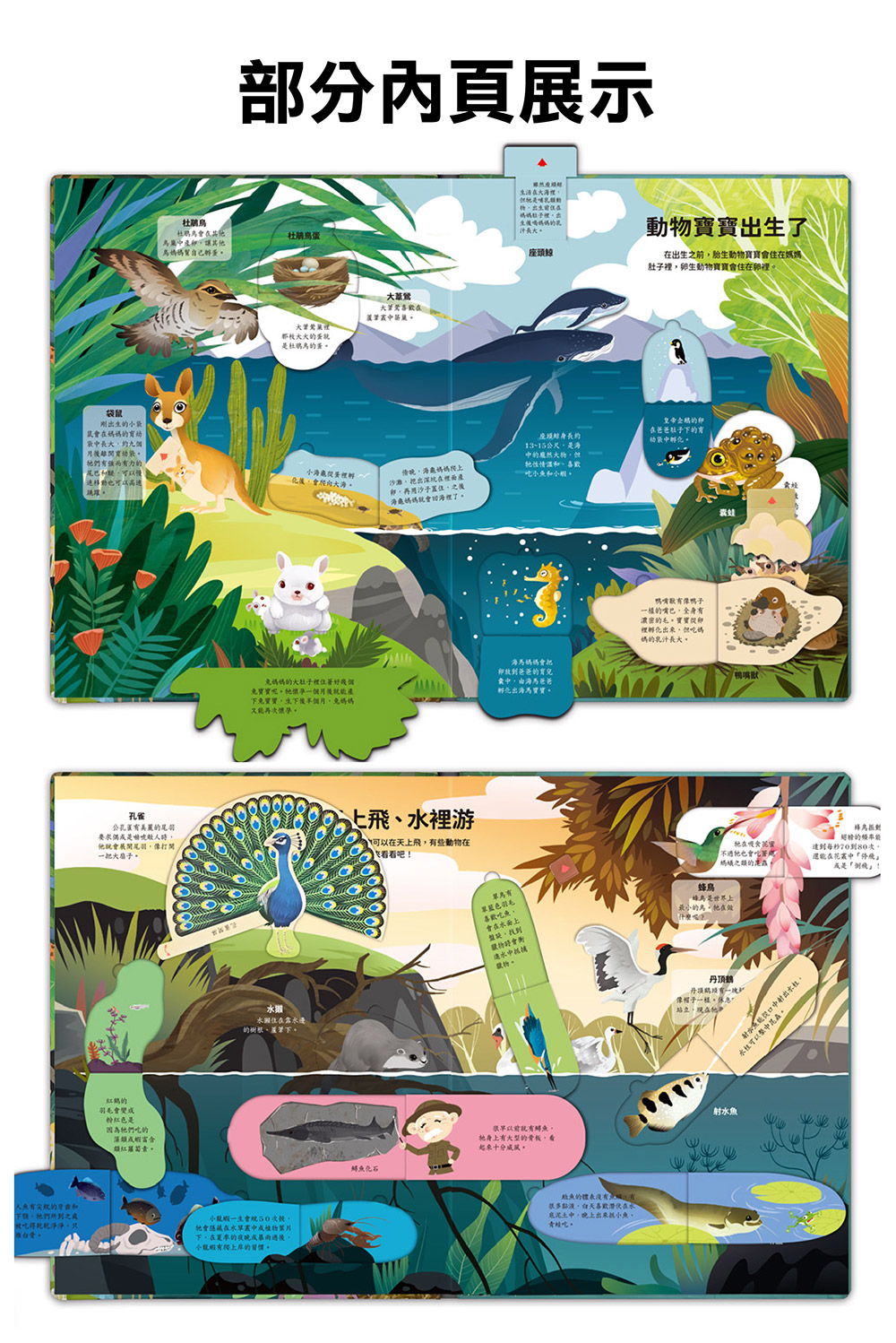 風車 神奇的動物百科立體翻翻書