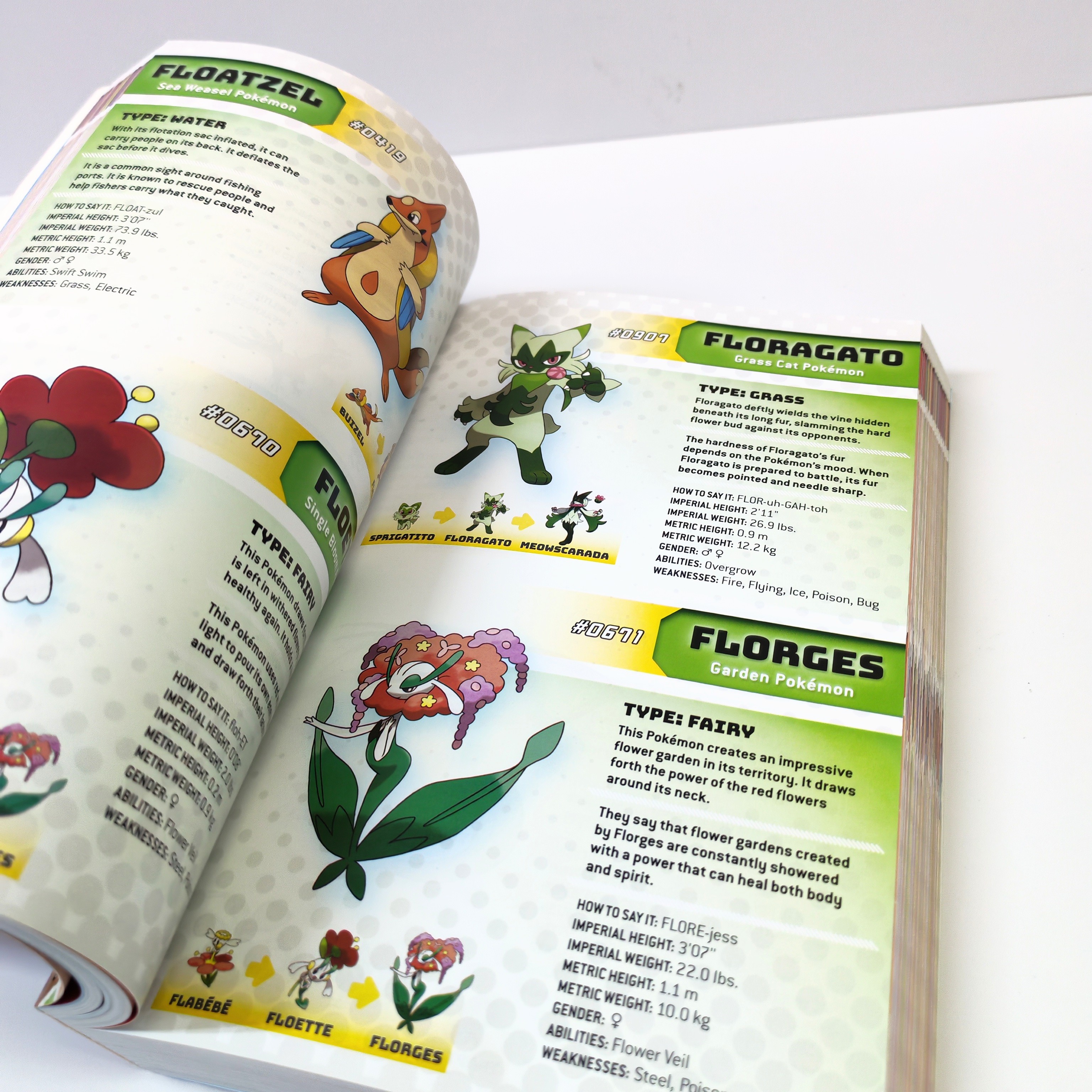 Pokémon Super Duper Extra Deluxe Essential Handbook 精靈寶可夢：超級無敵豪華精華手冊