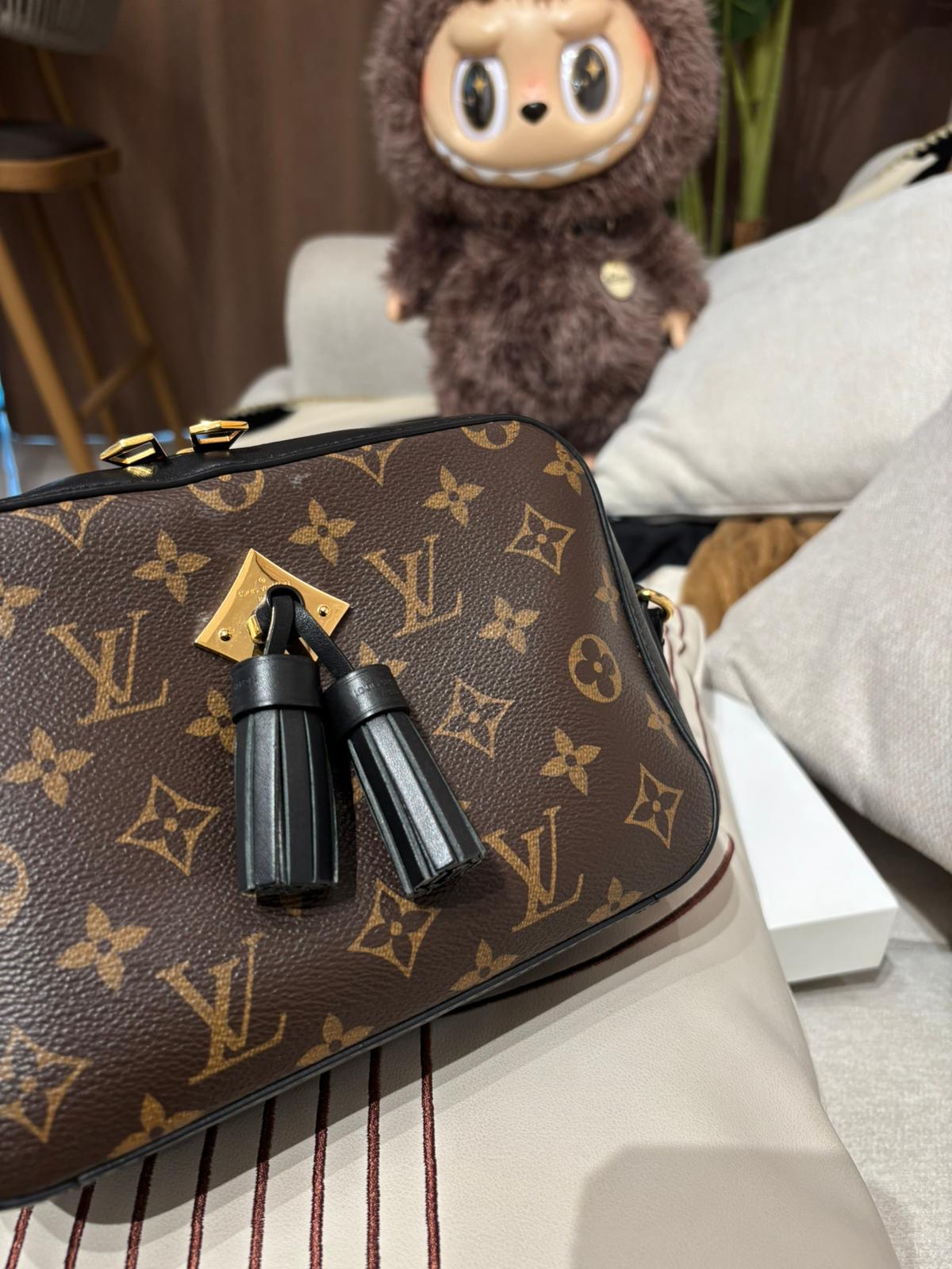 Lv SAINTONGE M43555 camera bag 100%Authentic,93%New ✅Dust bag 