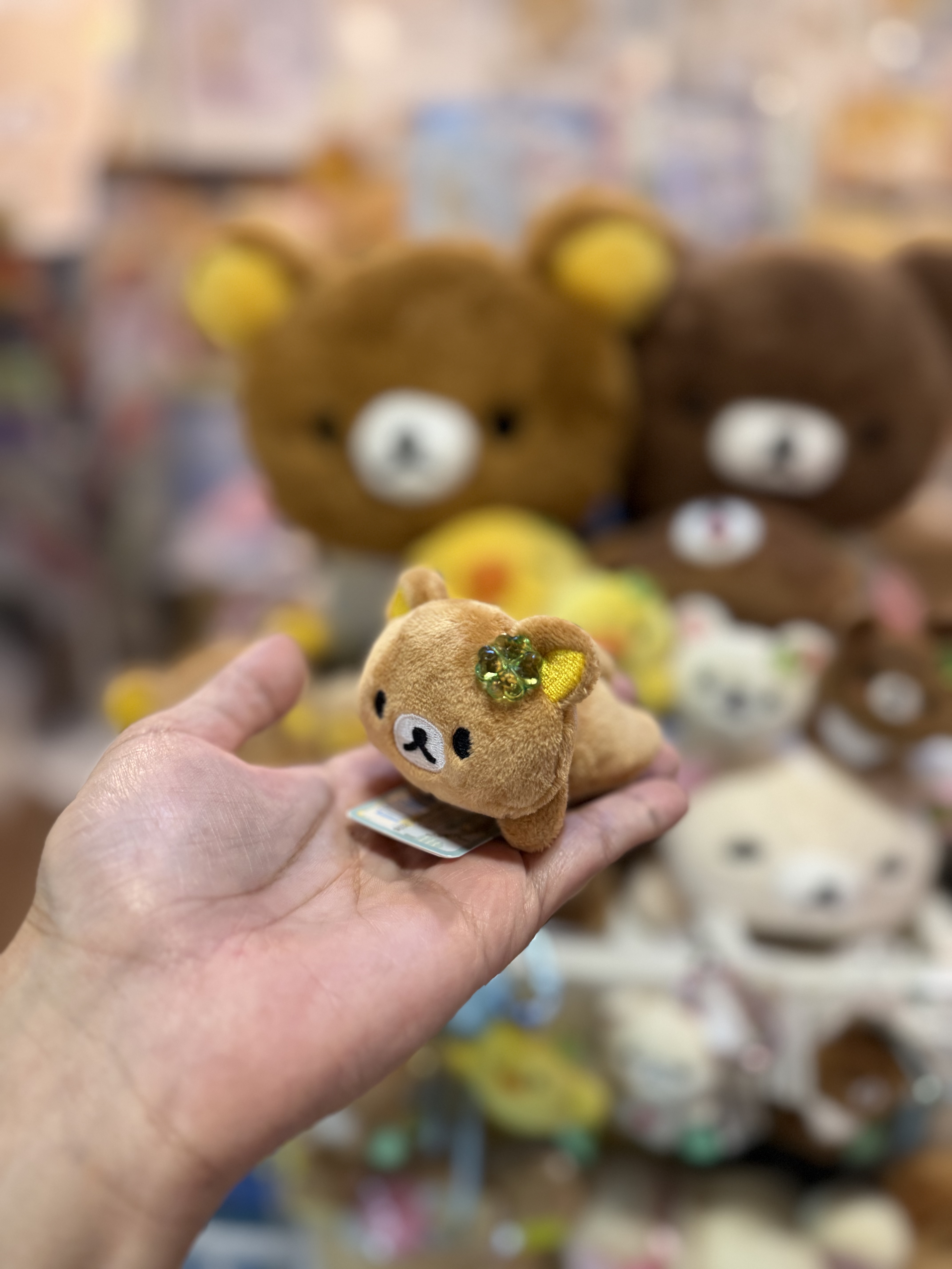 《現貨》全新小熊10週年紀念四葉草系列趴地手玉公仔