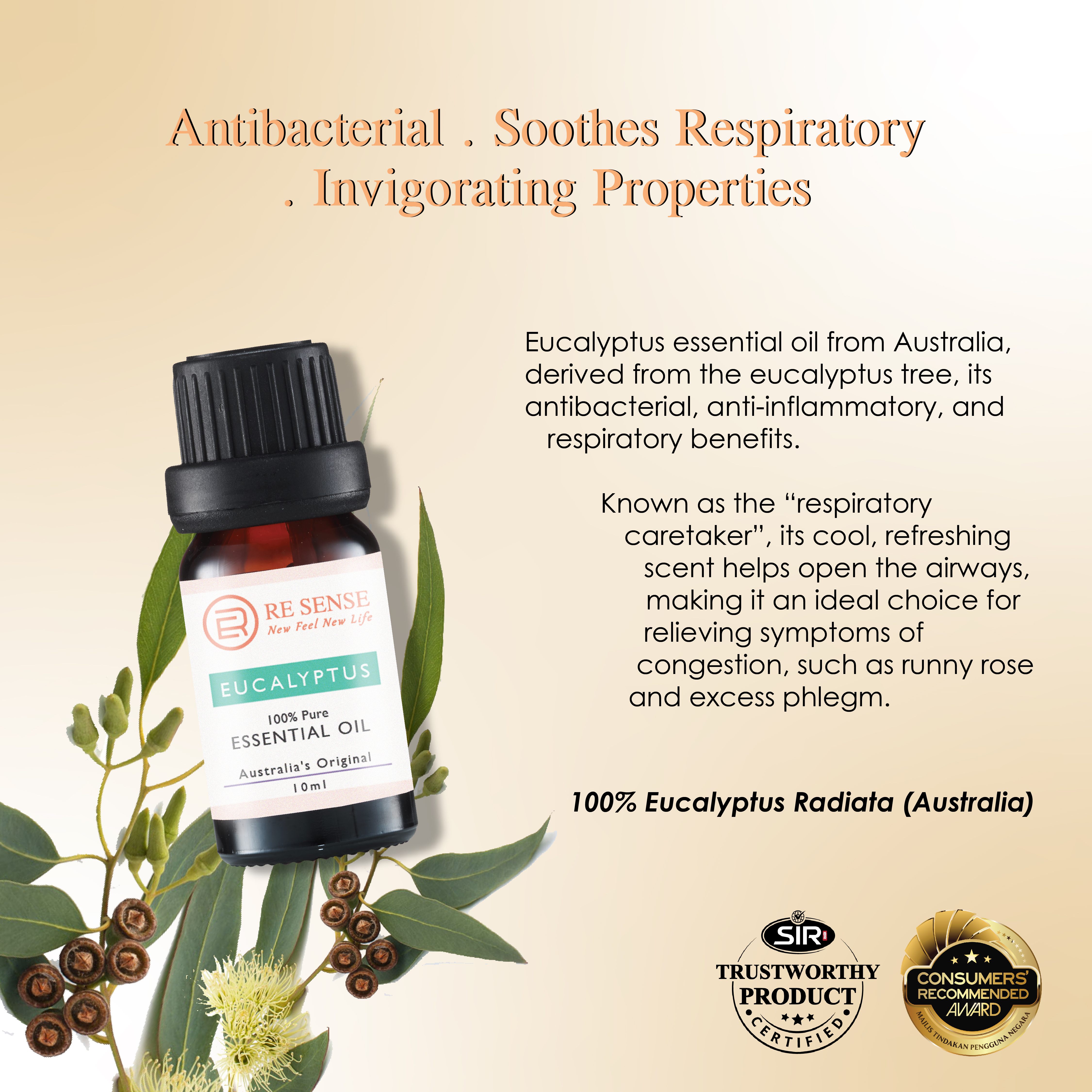 Eucalyptus Essential Oil (10ml)