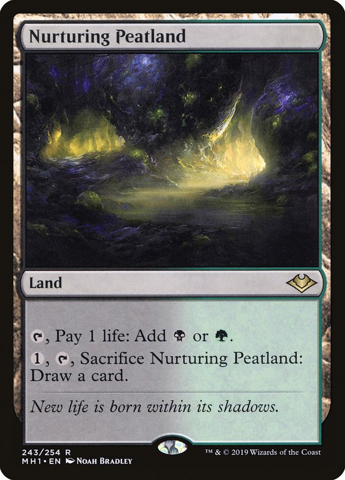 Nurturing Peatland [MH1-243] [EN]