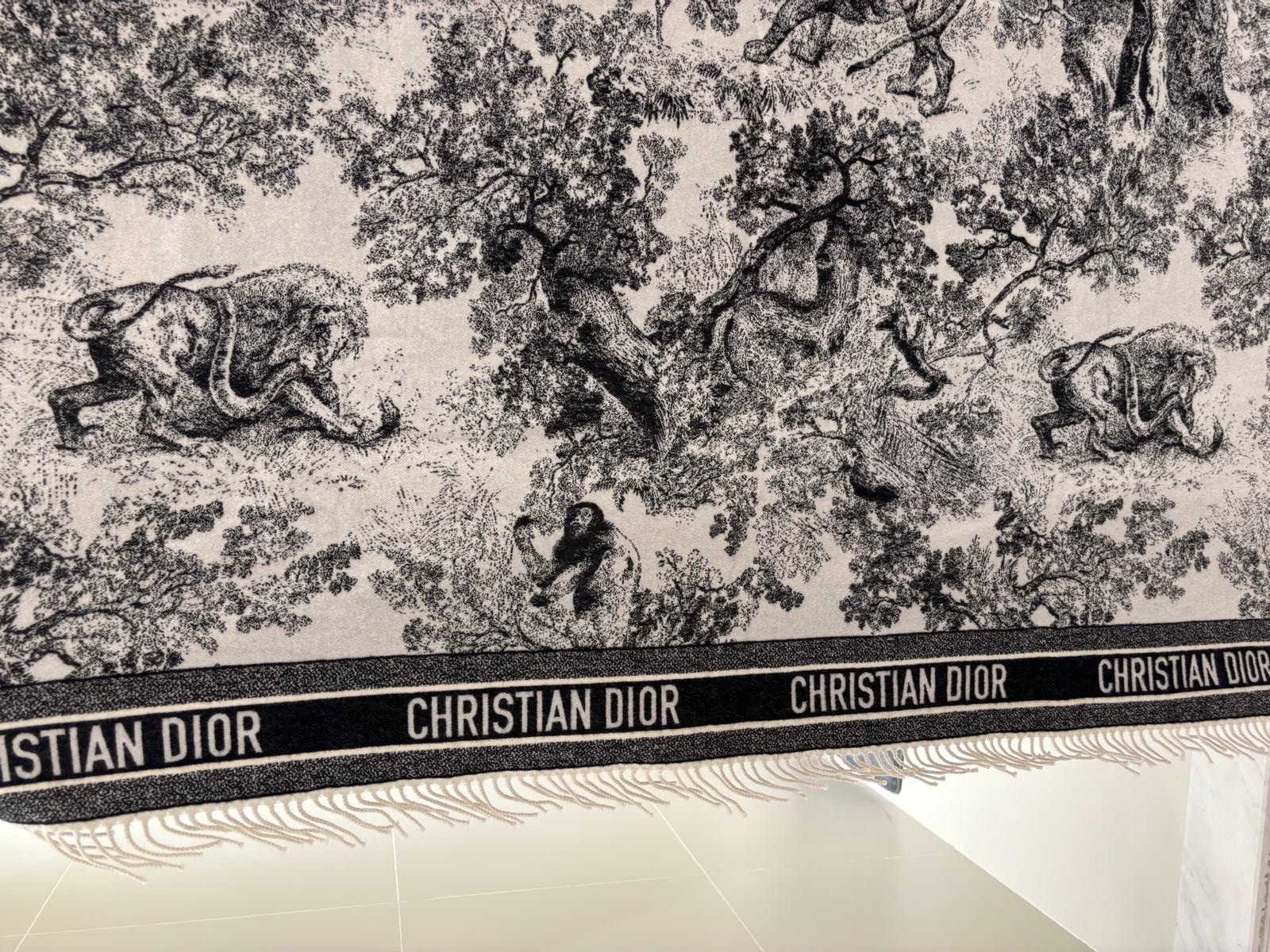 Christian Dior Wool Scarf羊毛圍巾 100%Authentic, 98%New