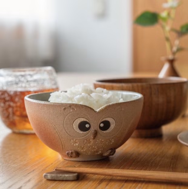 日本製 信樂燒貓頭鷹飯碗