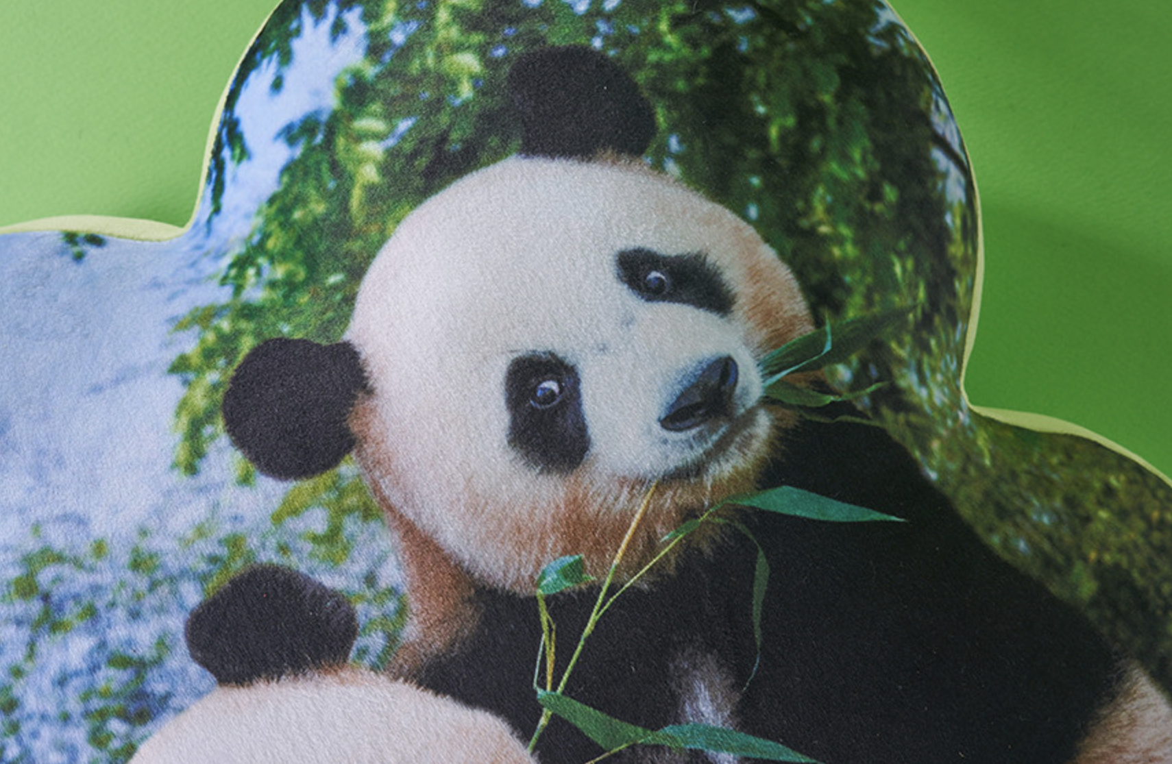 📦訂購 韓國代購 愛寶樂園 Everland Bao Family 寶家族 睿寶輝寶 Ruibao & Huibao Cushion 四葉草 抱枕 