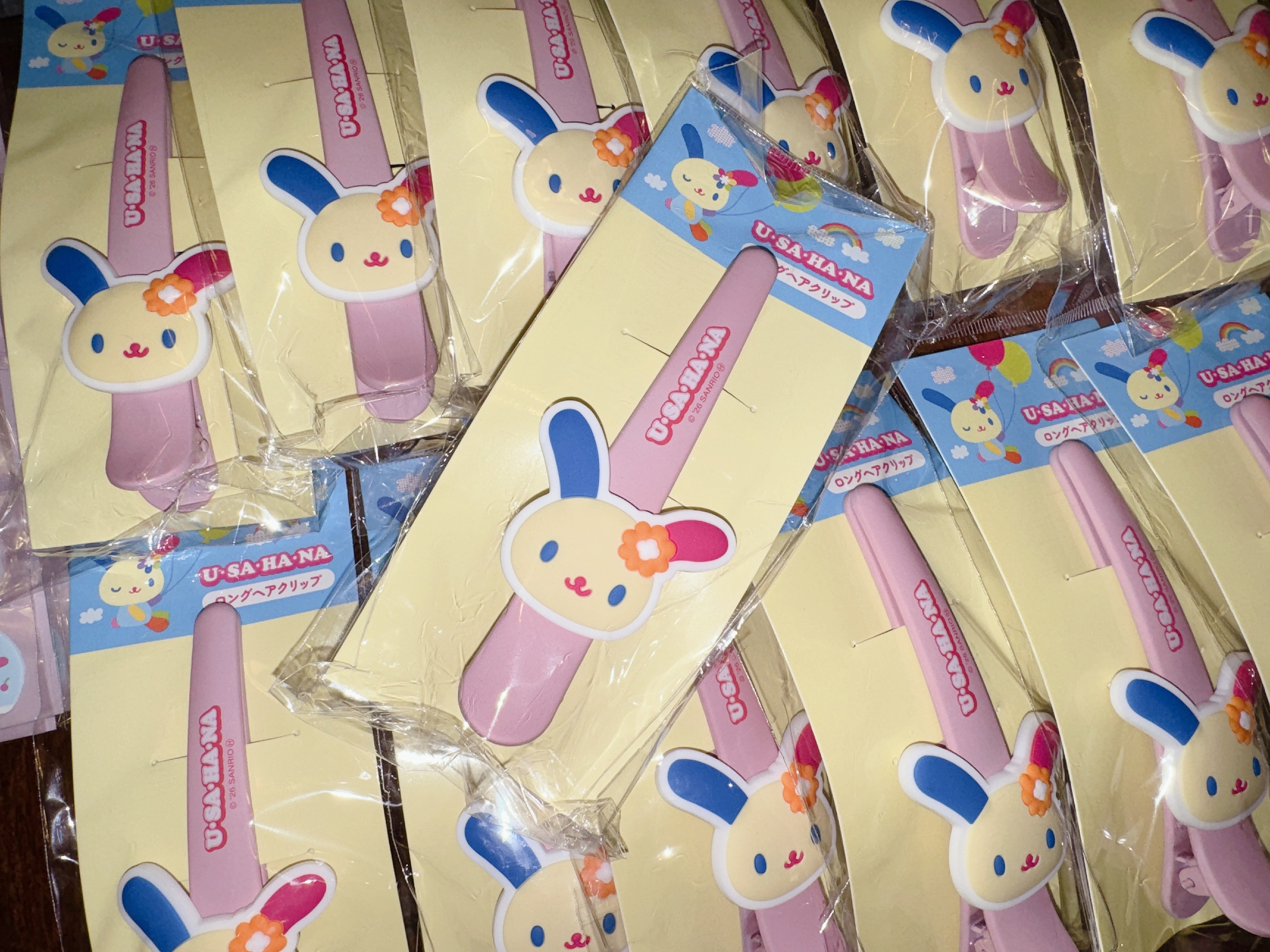 現貨｜日版 usahana 長髮夾🌈