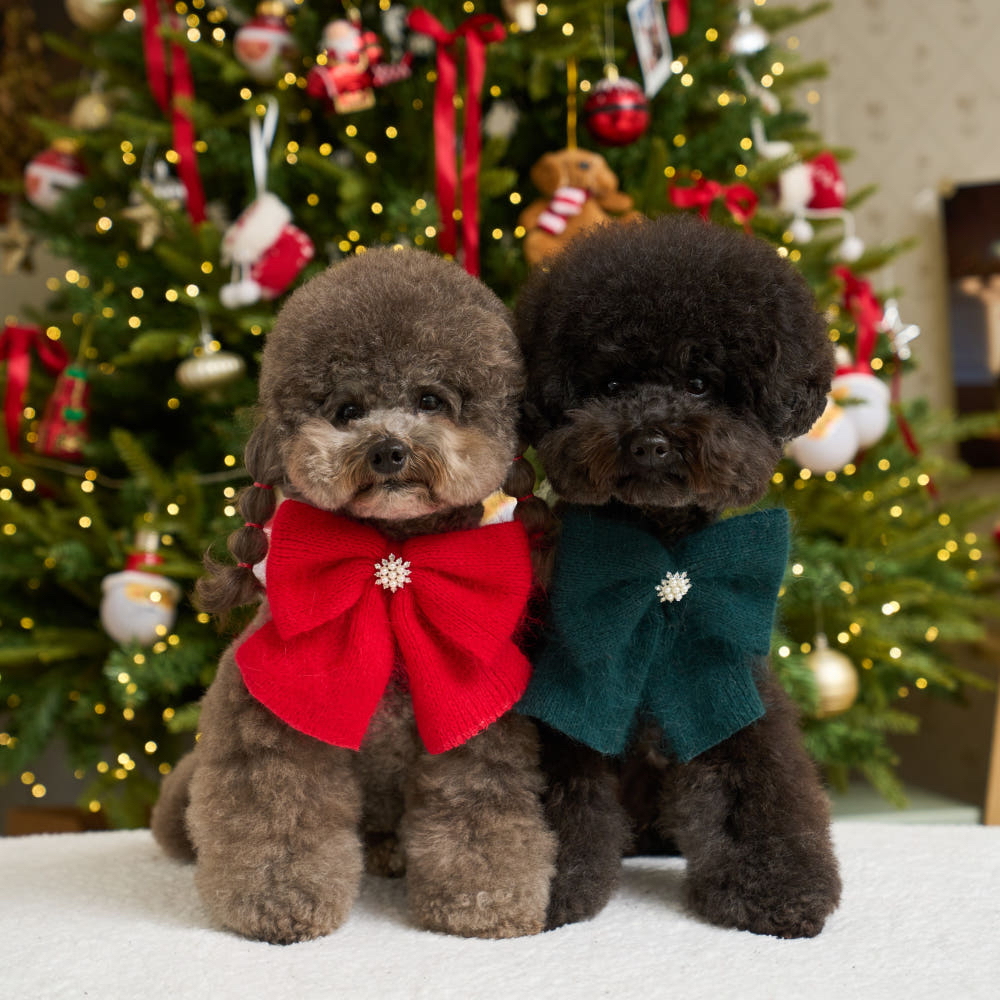 (現貨） 針織綁帶蝴蝶結 