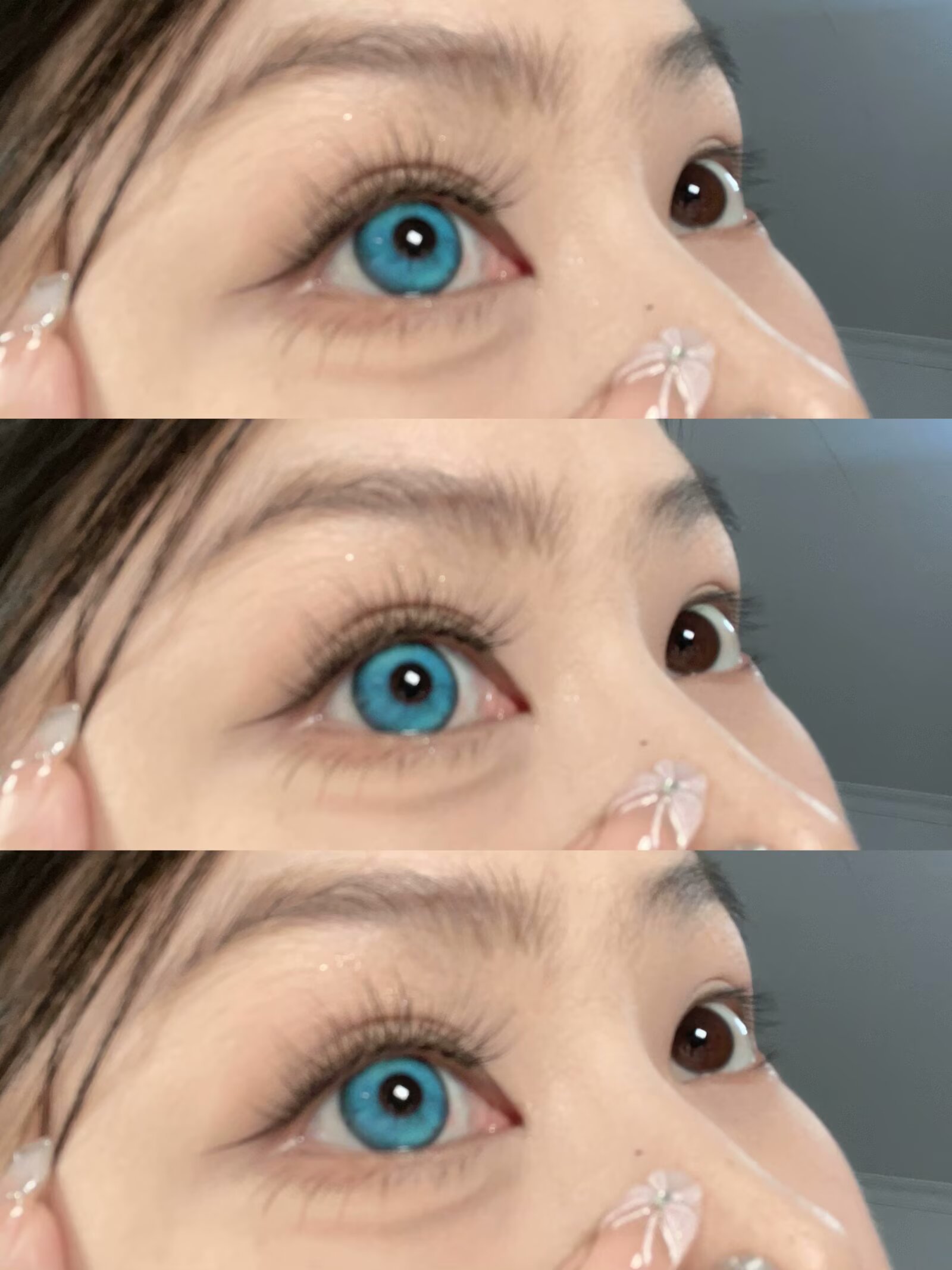 Apricotcon 日拋2片 蝴蝶蘭系列