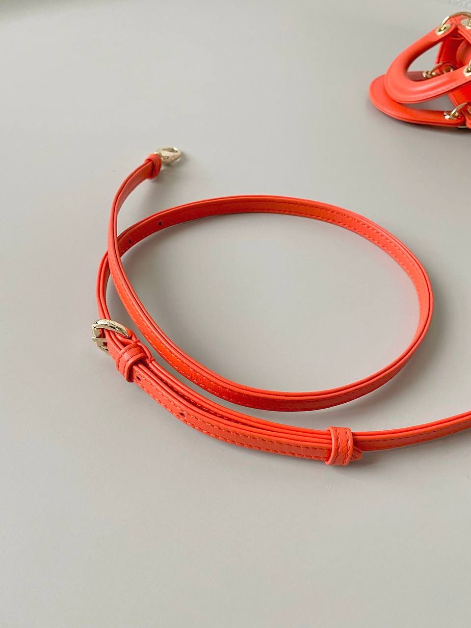 𝗗𝗜𝗢𝗥 𝗺𝗶𝗰𝗿𝗼 𝗹𝗮𝗱𝘆 𝗯𝗮𝗴 🈶羊皮亮橙 火爆全网的最新超mini系列 天阿噜！小小只，简直太太太太可爱了！ 精致到巴掌大小，无敌治愈我这颗少女的心啊！！💛 size：12×10×5cm