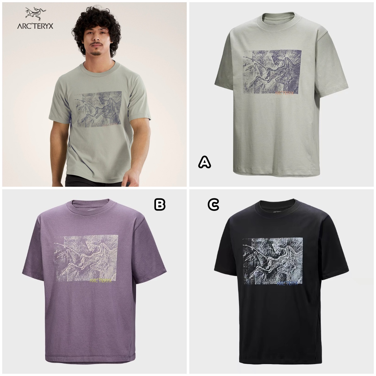 ARC'TERYX 化石鳥印花短袖 Tee