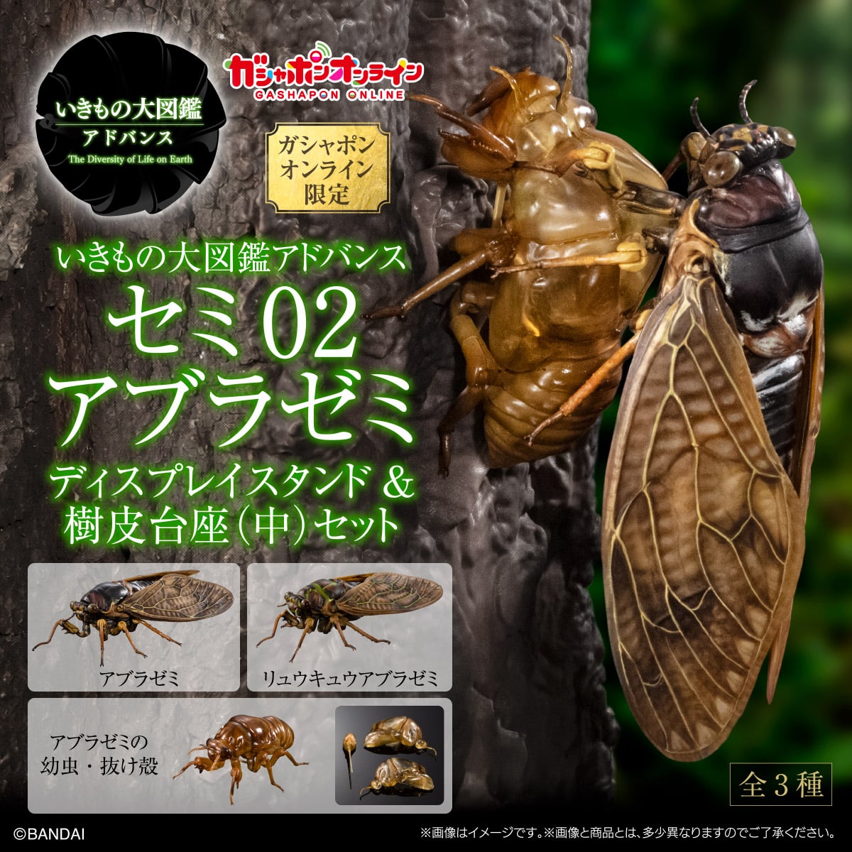 (預訂訂金 $100) (總價 $300) (Gashapon Online 限定) Bandai 生物大圖鑑 大棕色蟬 02 展示支架套裝 扭蛋 (行版) Cicada 02 Large Brown Cicada Display Stand Set