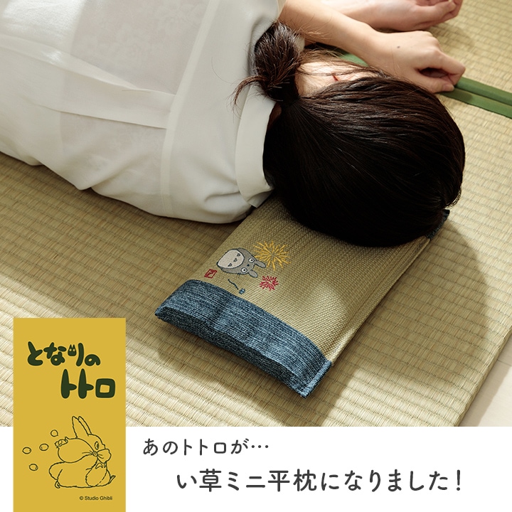 🆕【⭐訂購⭐】🇯🇵日本直送 #龍貓 #日本製 蘆葦草 枕頭［7款選］🌀 [ELDD-0273][260530]