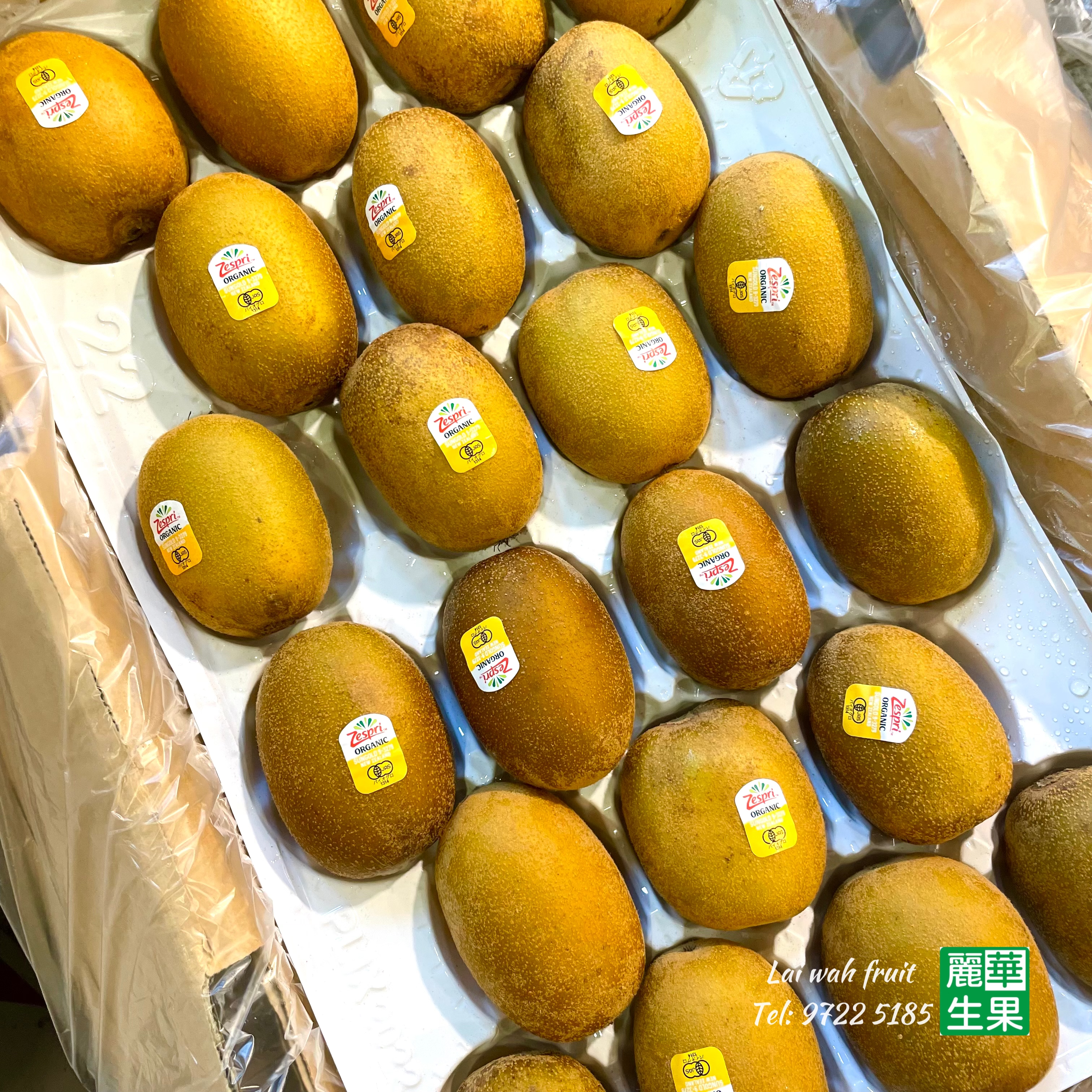 🐏紐西蘭【Zespri有機💛金奇異果🥝】$38/2個