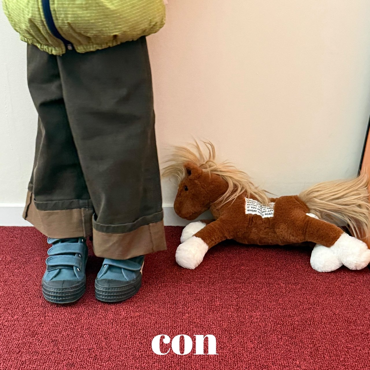 Con | Tone Tone Pig Roll-up Pants