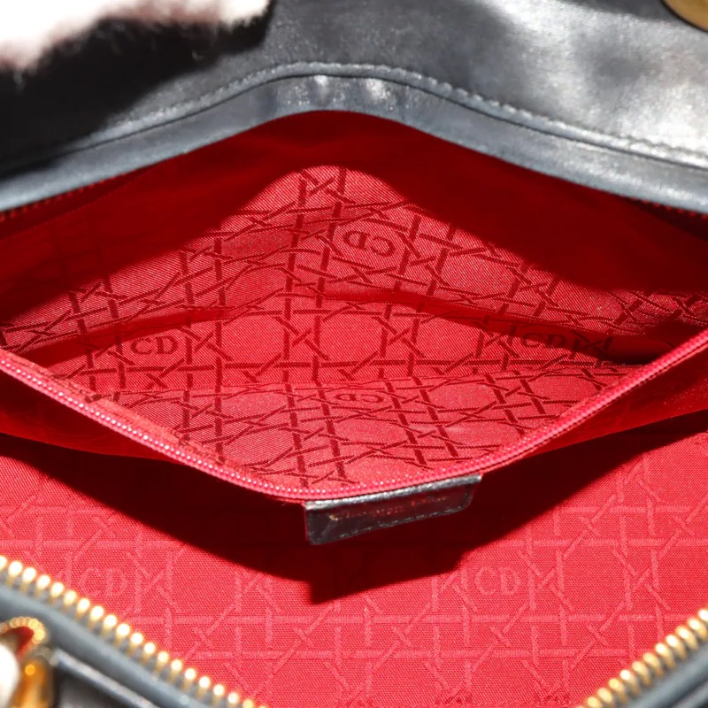 Christian Dior Large Lady Dior