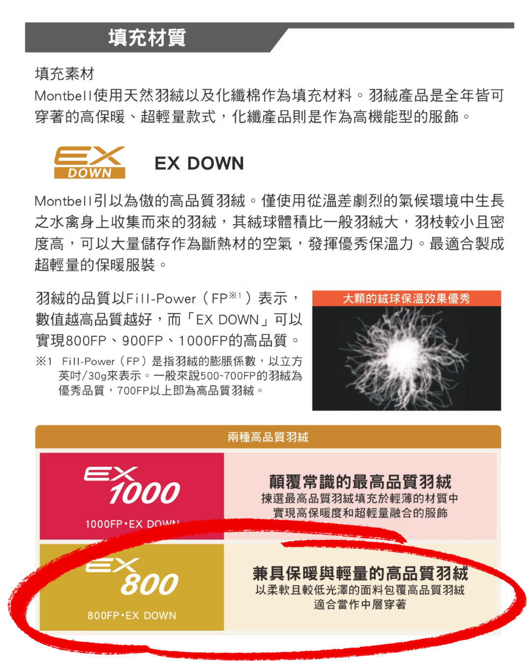 日本代購【 2026新色 日本直送 montbell 女裝 極輕羽絨外套｜輕便保暖必備 | Neige Down Parka Women’s 800FP 】 