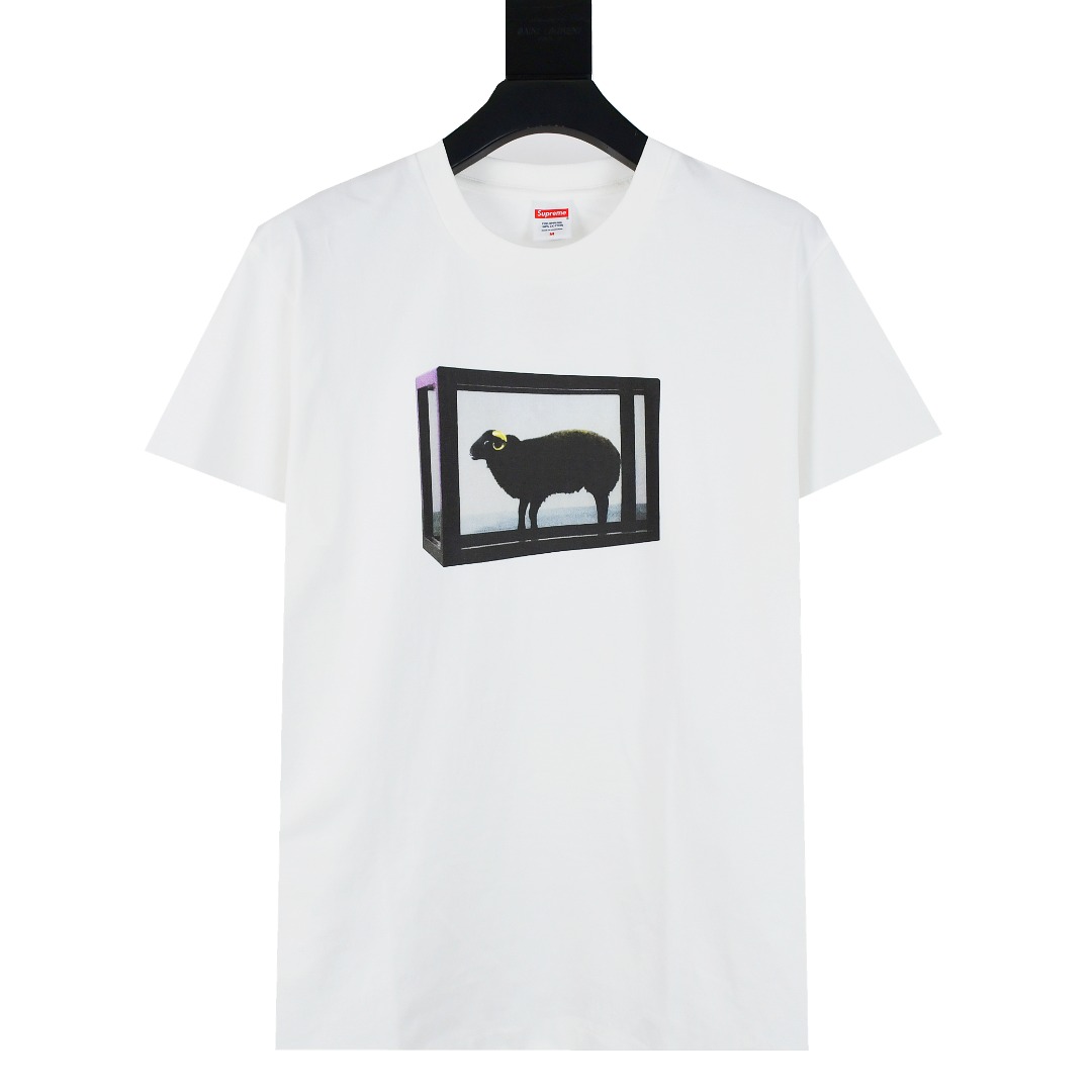 Supreme x Damien Hirst Tee