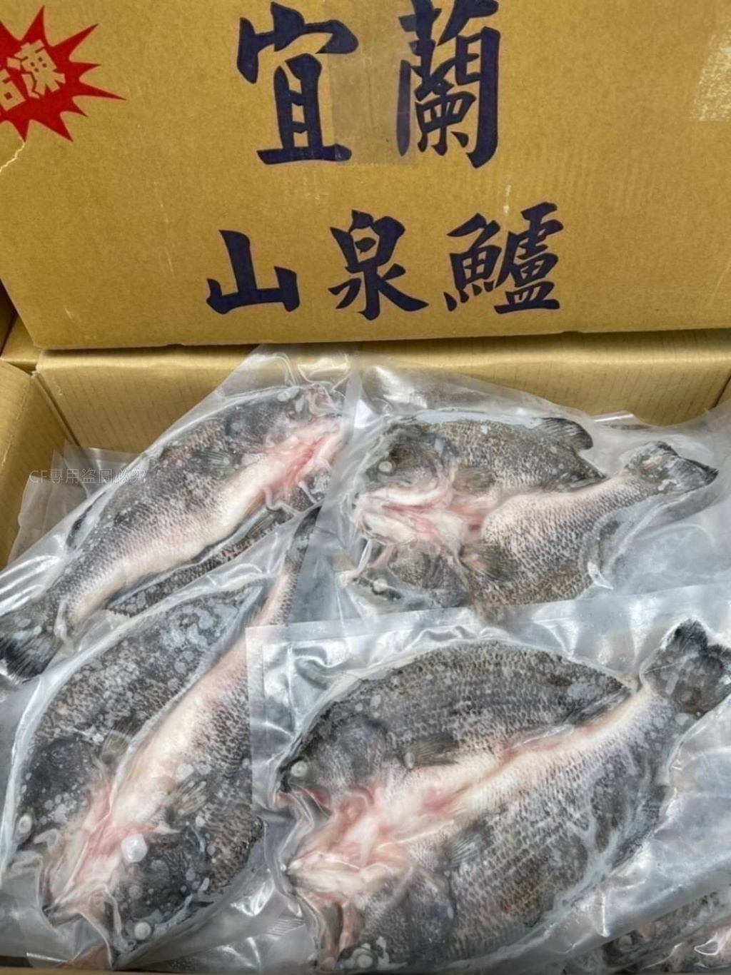 【冷凍船運｜宜蘭特產】山泉鱸魚（蝴蝶切加大版） 