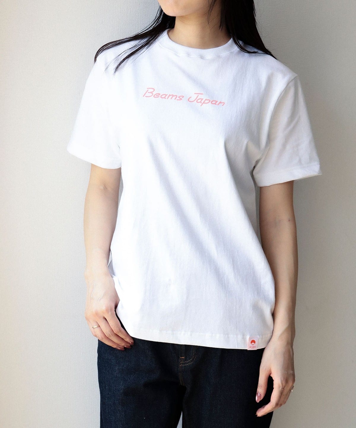 【预购】BEAMS JAPAN【别注】富士山 T恤 Vol.3