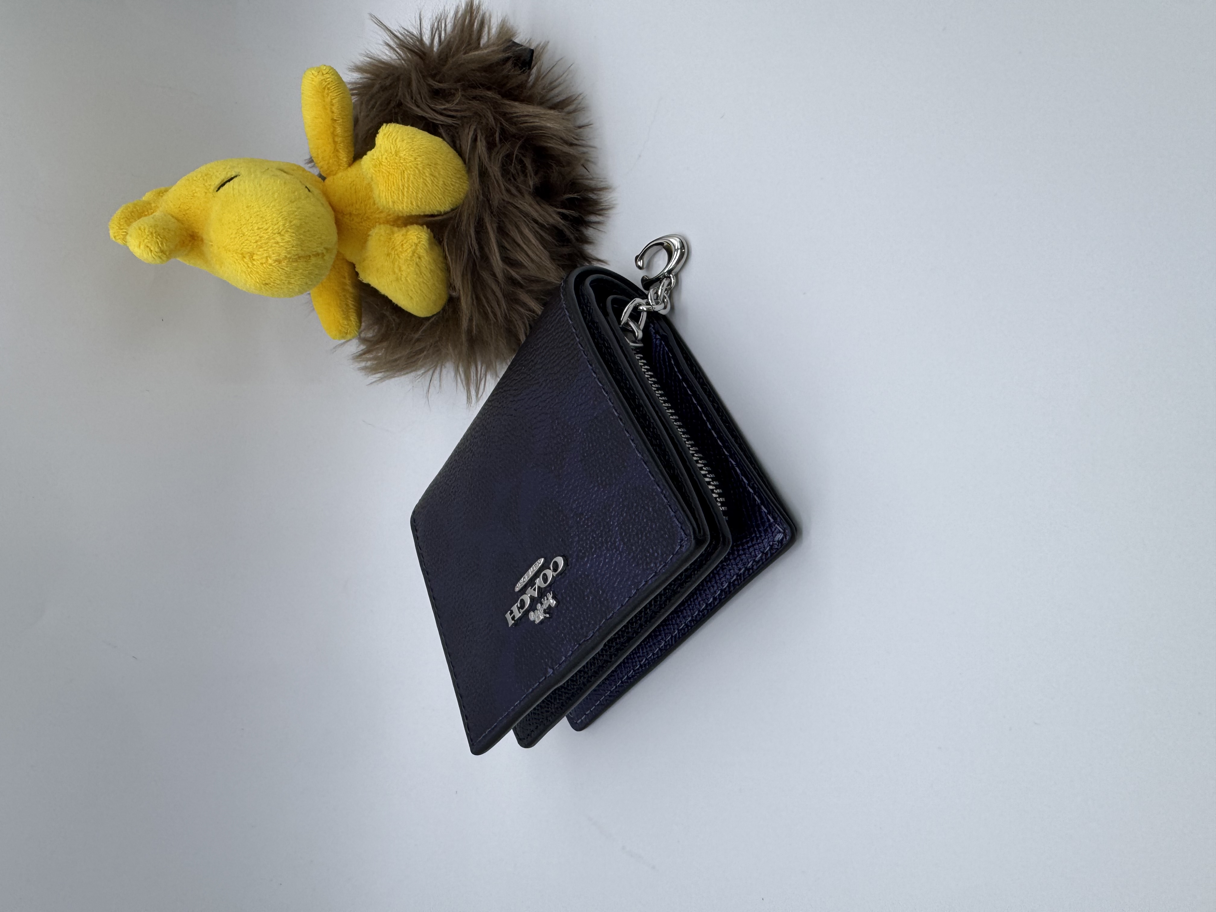 🇺🇸🇨🇦✈️Coach outlet 金屬藍色signature c pattern 系列貨品現貨💙💙🤩🤩