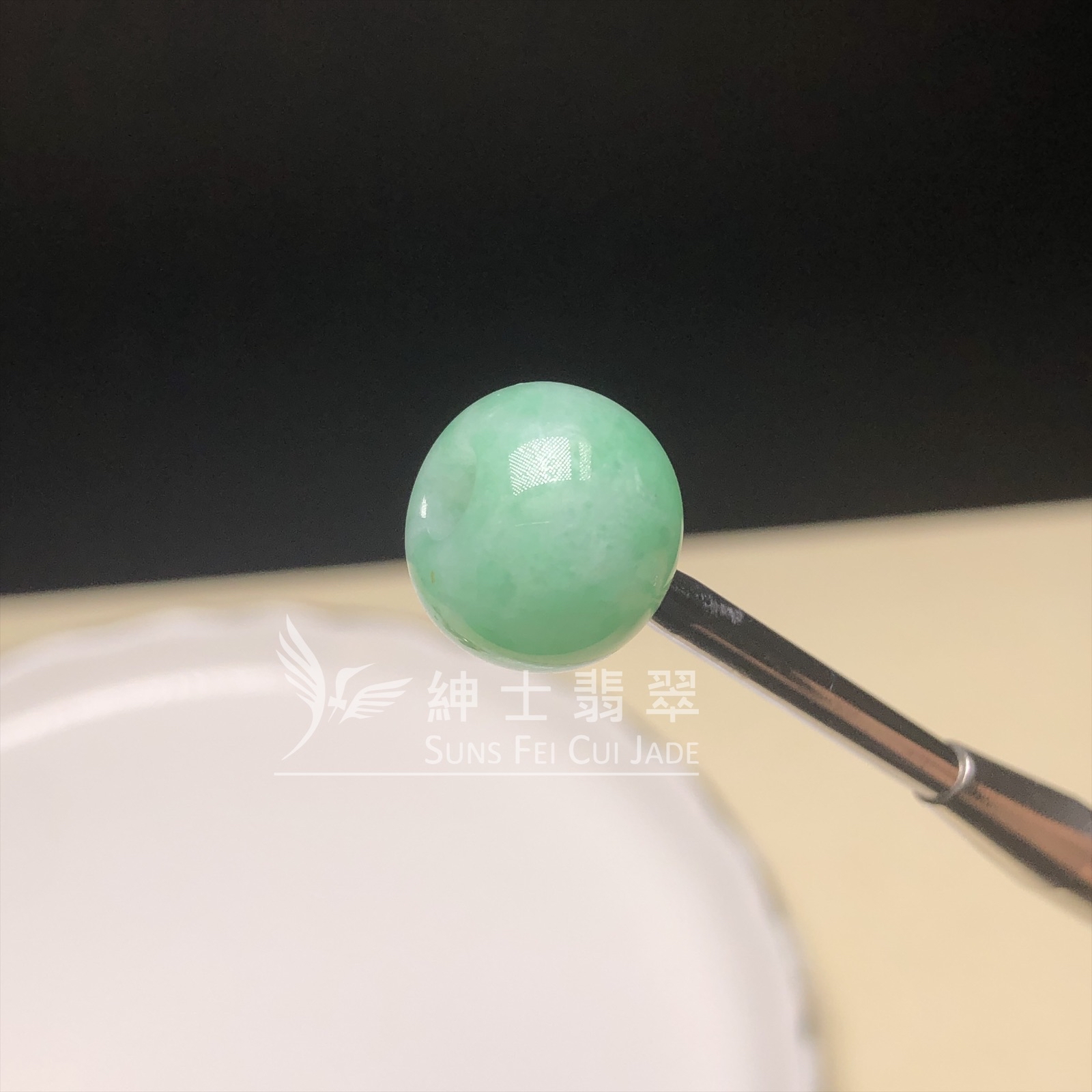  B08593 滿綠路路通