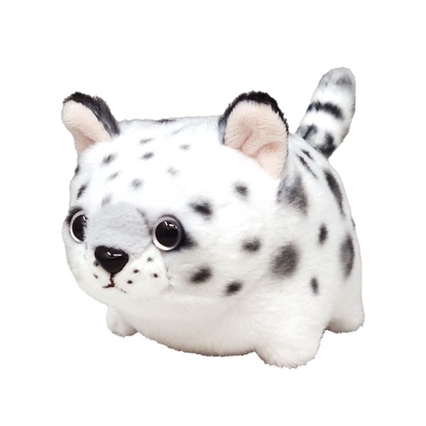 貓科生物-斑點貓