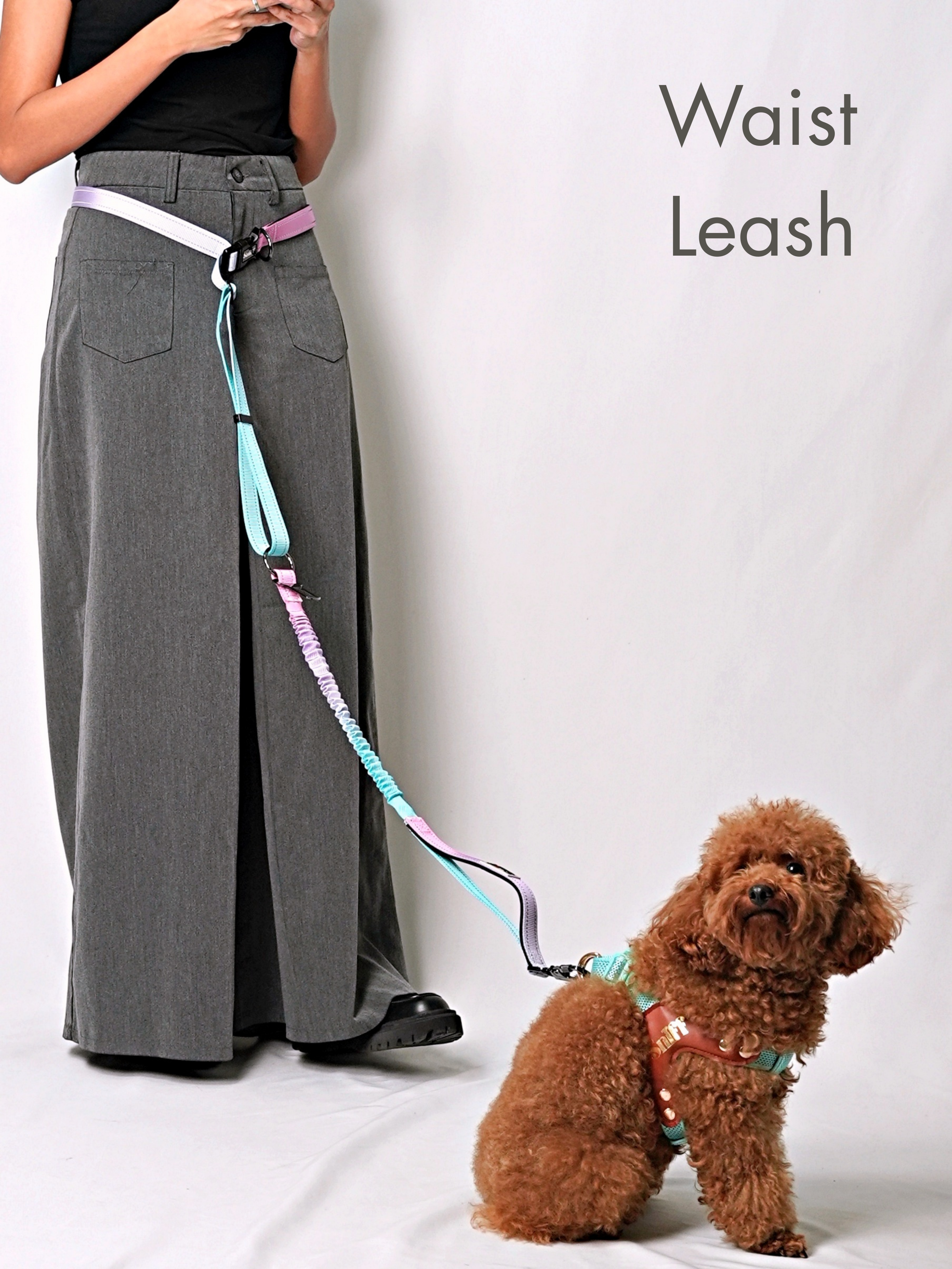 Hands Free Multifunction Leash with Poop Bag - Cotton Candy 