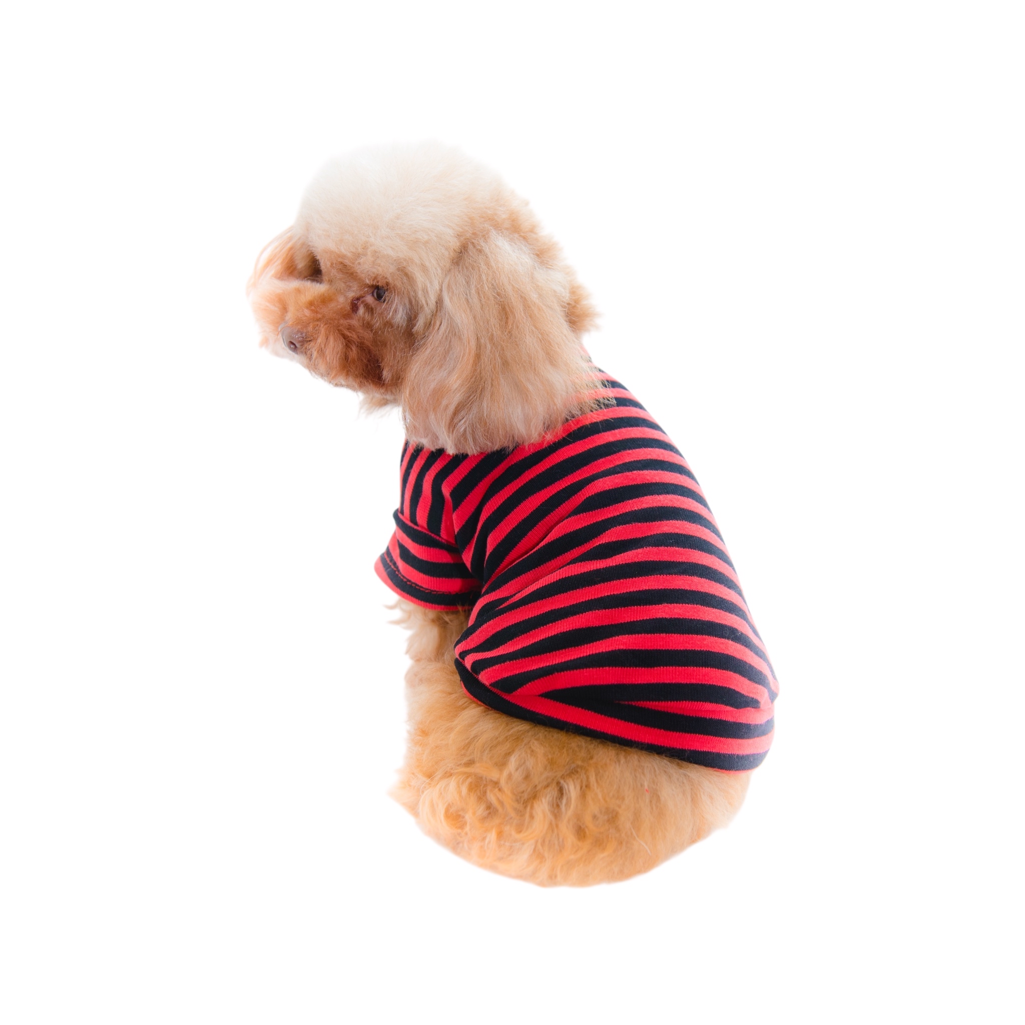 S585R 條子有袖TEE紅色Red