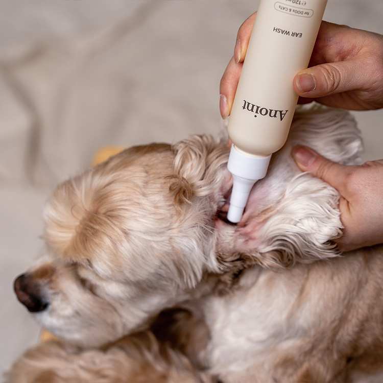 韓國 Anoint｜水感舒敏潔耳液 Ear Wash 120ml｜貓犬適用 洗耳水