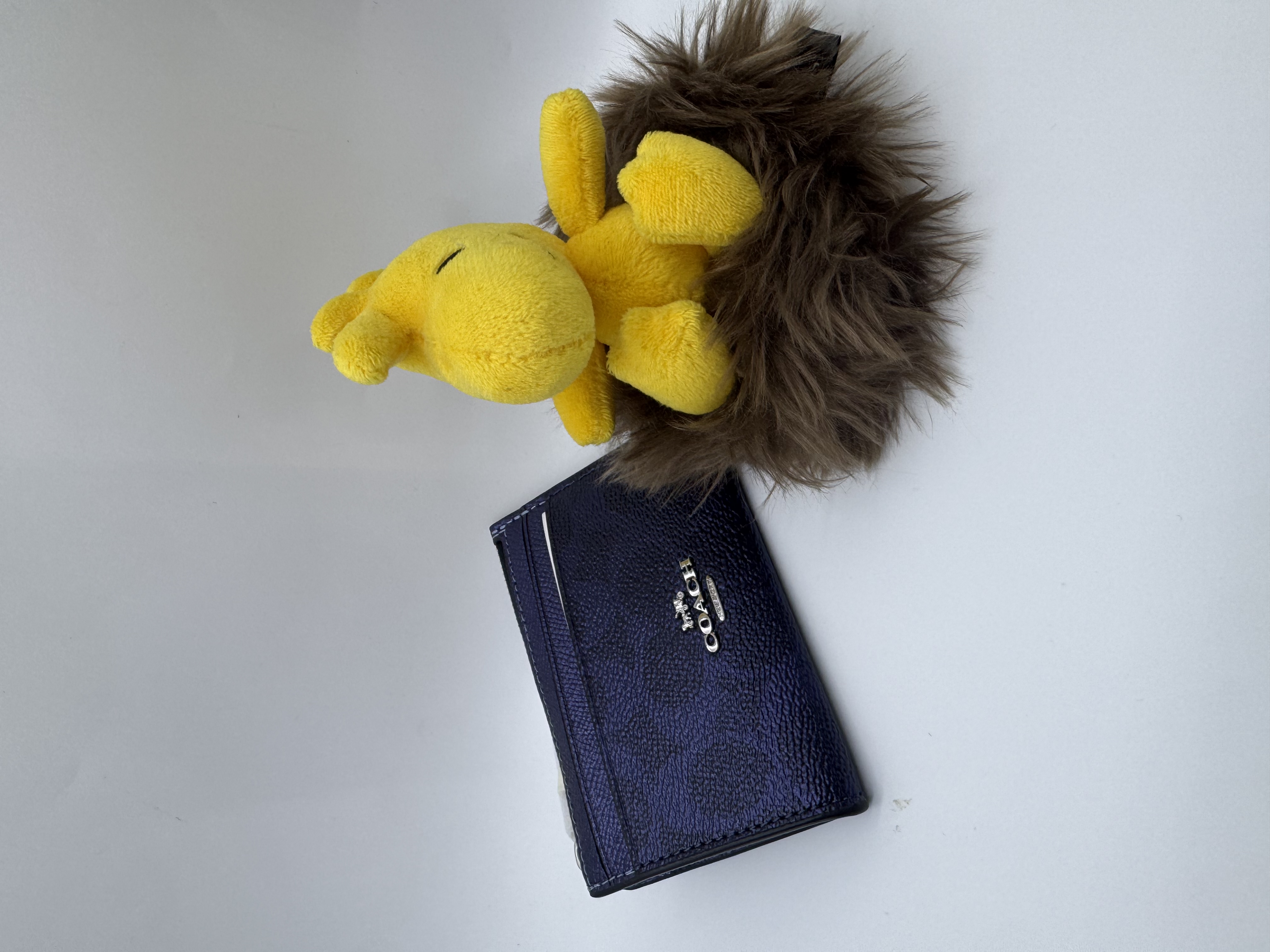 🇺🇸🇨🇦✈️Coach outlet 金屬藍色signature c pattern 系列貨品現貨💙💙🤩🤩