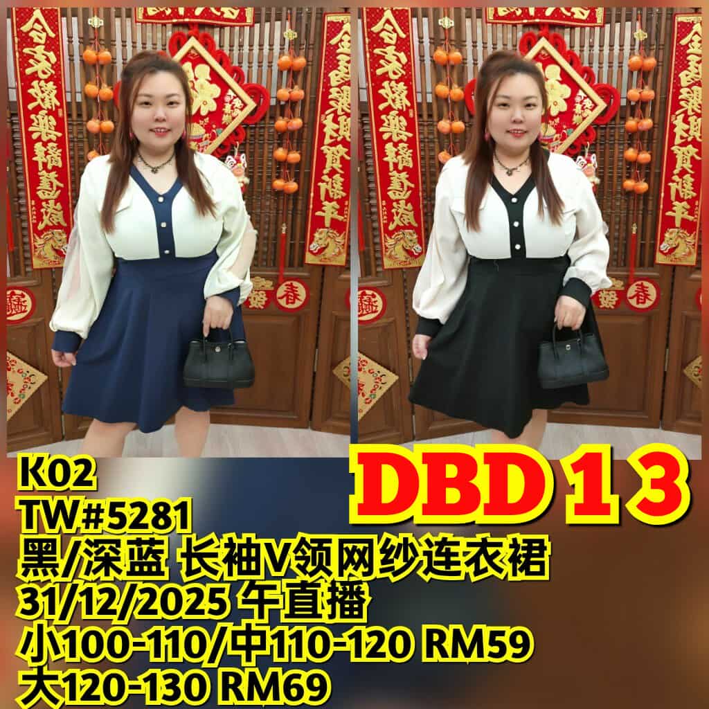 DBD13 TW#5281 长袖V领网纱连衣裙