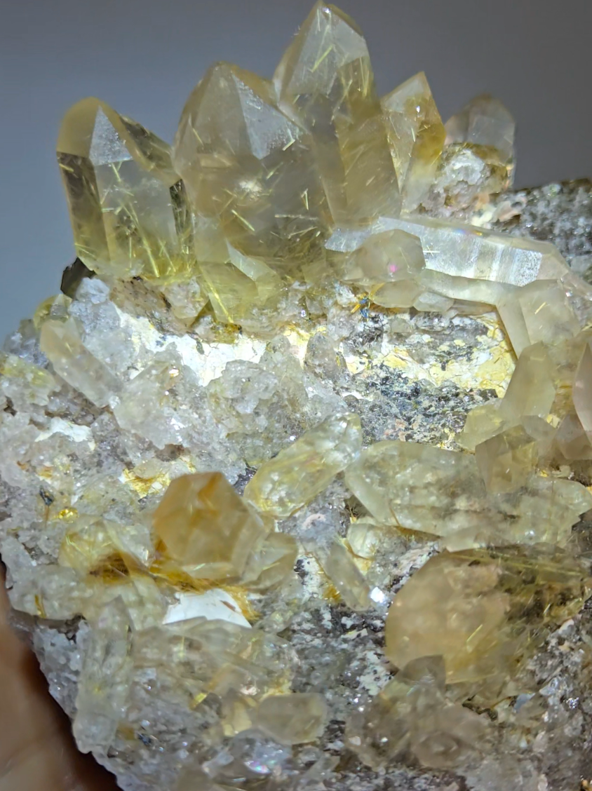 High-grade golden starburst rutiles on black hematite in quartz - RT1434