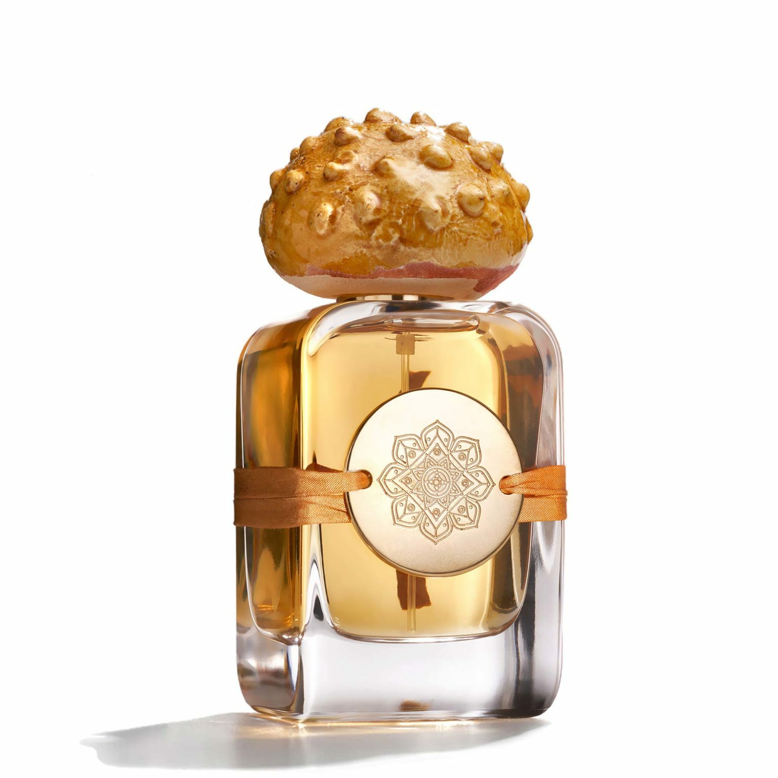 Sogno Reale - Mendittorosa