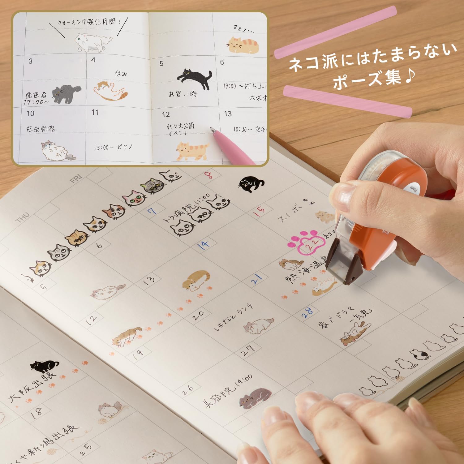 現貨｜PLUS Neco Rush 貓貓 日版 手帳裝飾膠帶 Decoration Tape (蘇格蘭折耳貓 91-560)