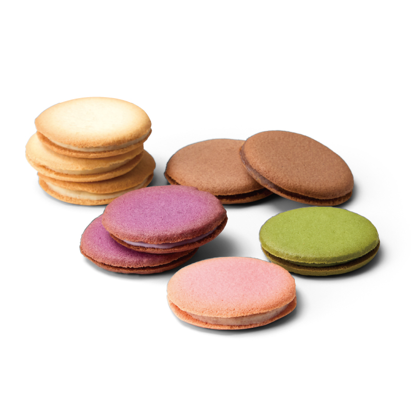 PATISSERIE YANAGIMURA 繽紛巧克力夾心餅乾禮盒 (60枚入)