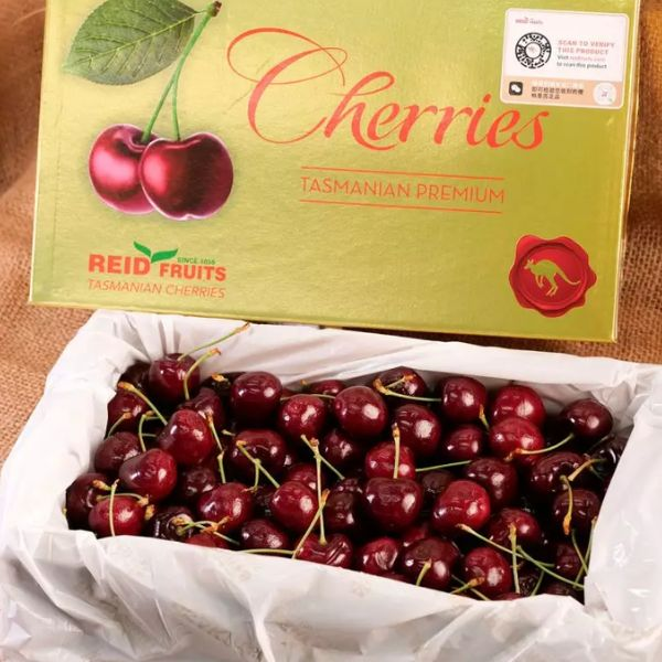 塔斯曼尼亞金袋鼠車厘子30至32+/ 2 kg （lapin) 