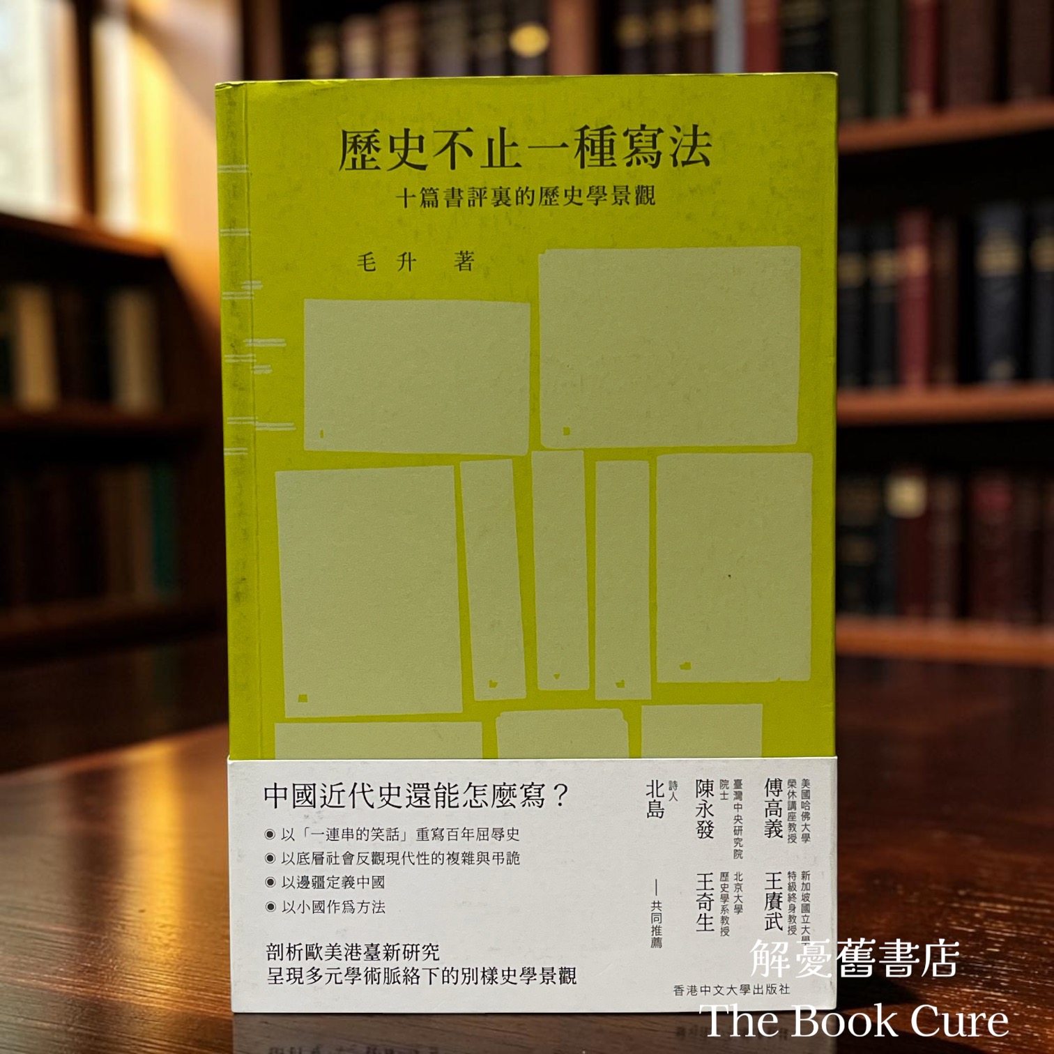 歷史不止一種寫法：十篇書評裏的歷史孚景觀 / 毛升 著